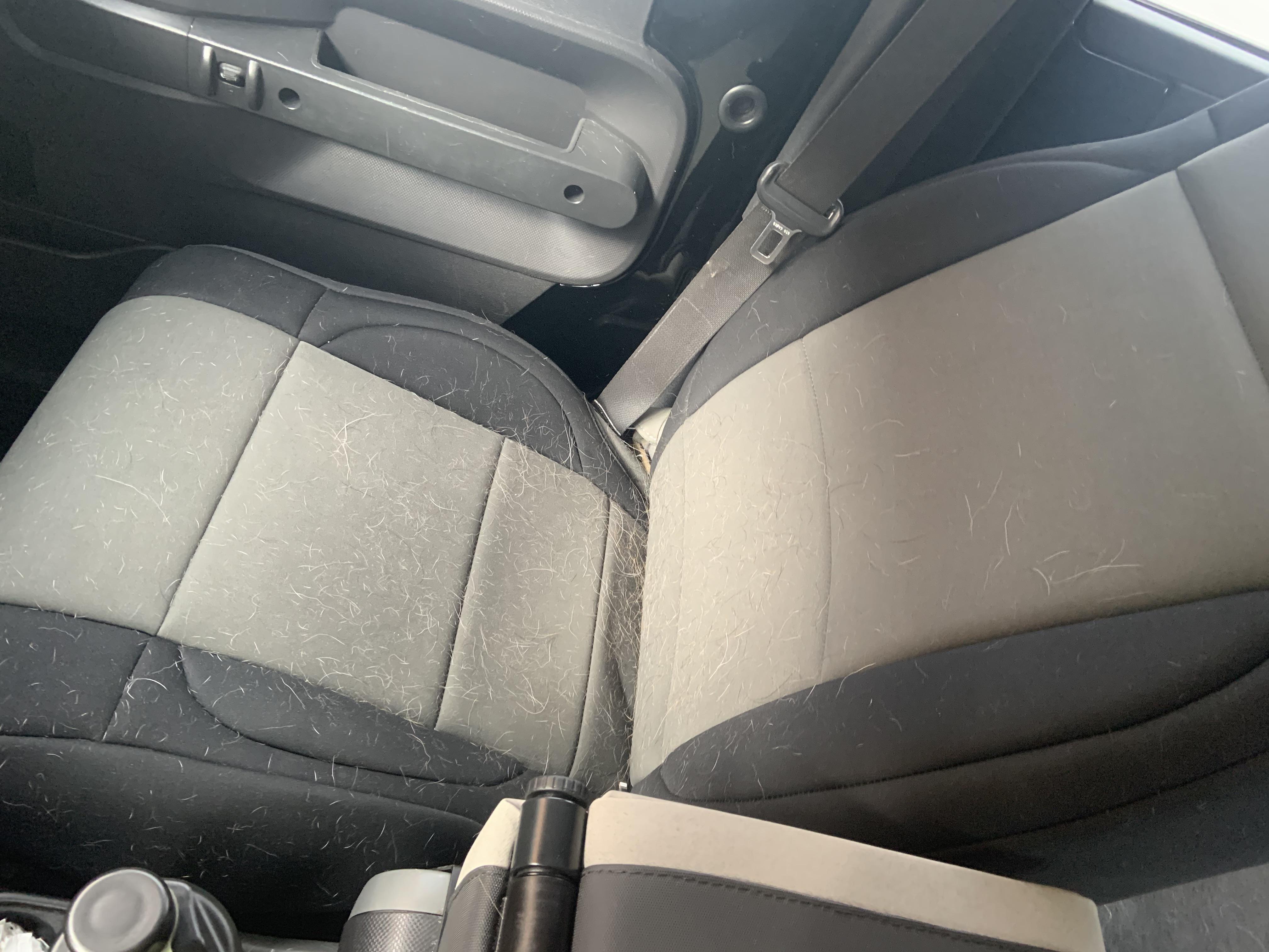 Best way to get dog hair out of waterproof seat covers? (Vacuum hose