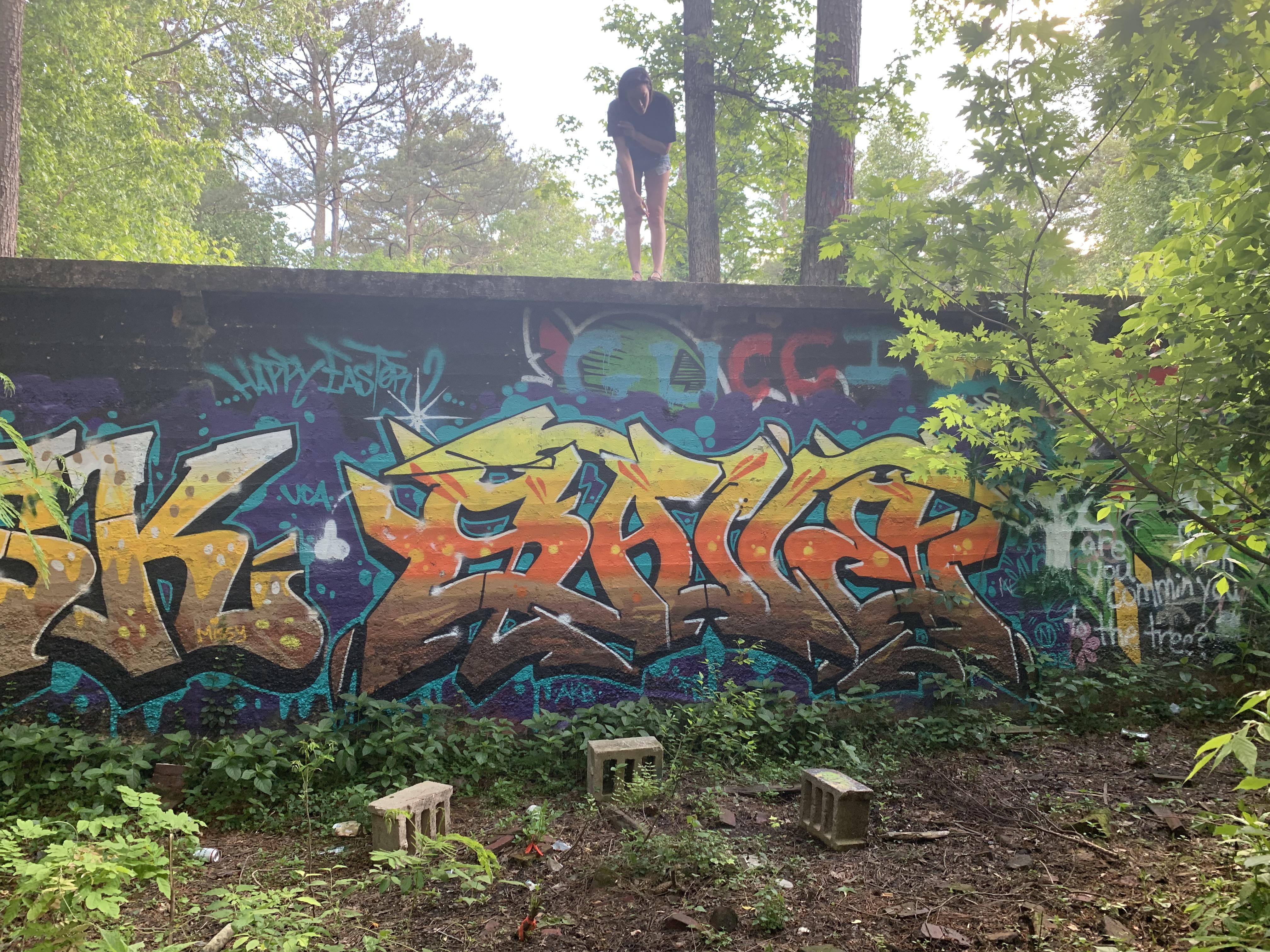 Baller Atlanta toco hills +girl on wall Graffiti