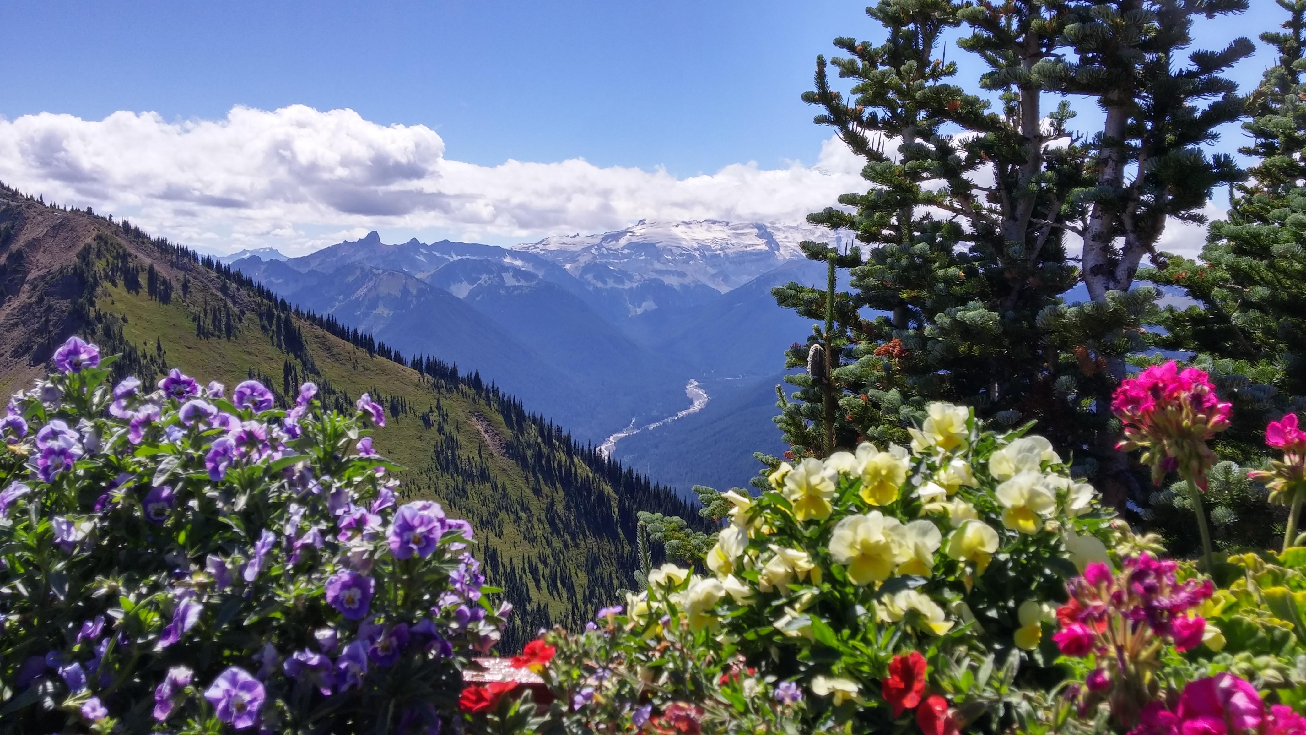 Paradise in Washington [4160 x 2340] r/EarthPorn