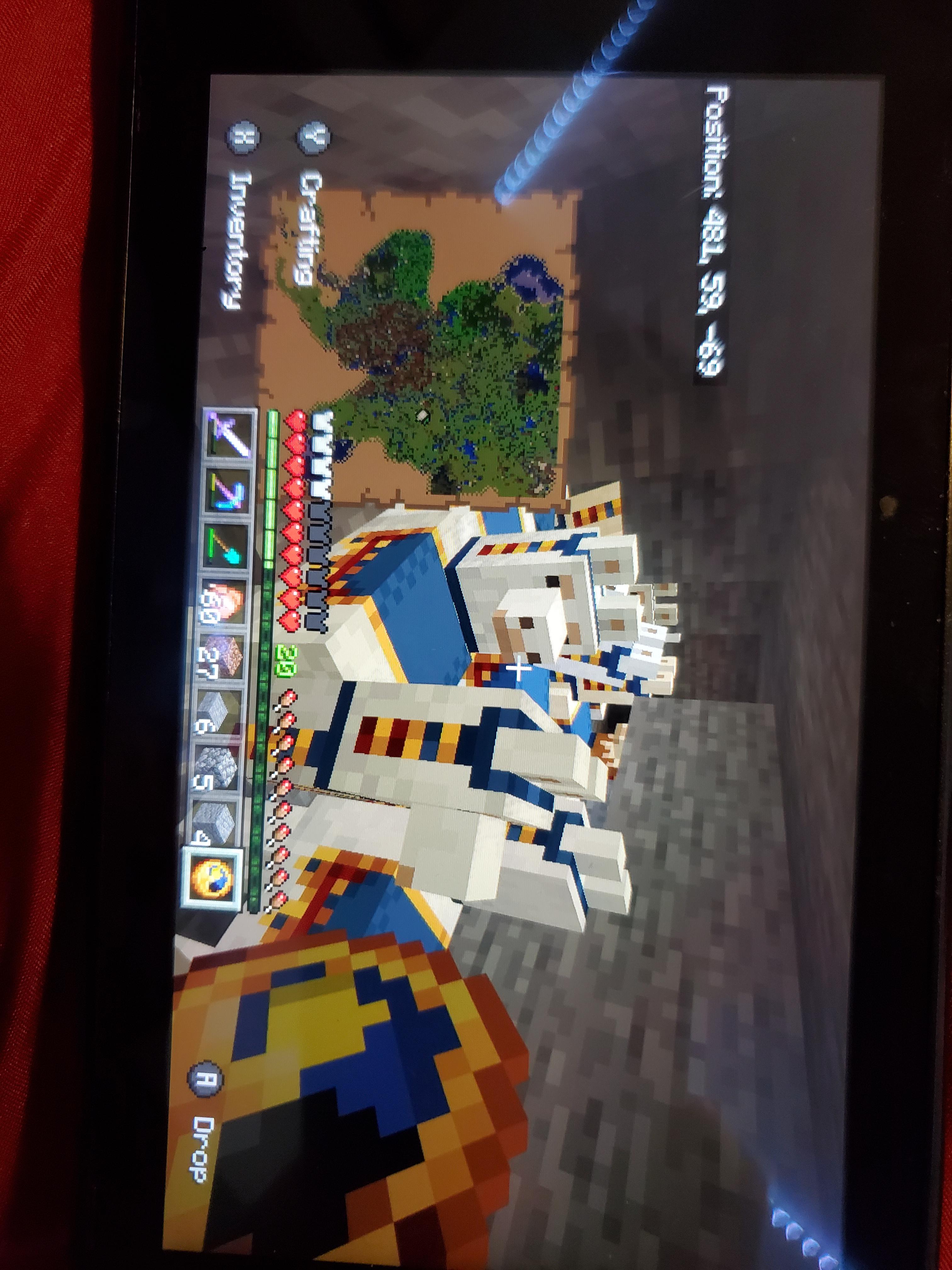 I killed so many wandering trader, the llamas didn't despawn r/Minecraft