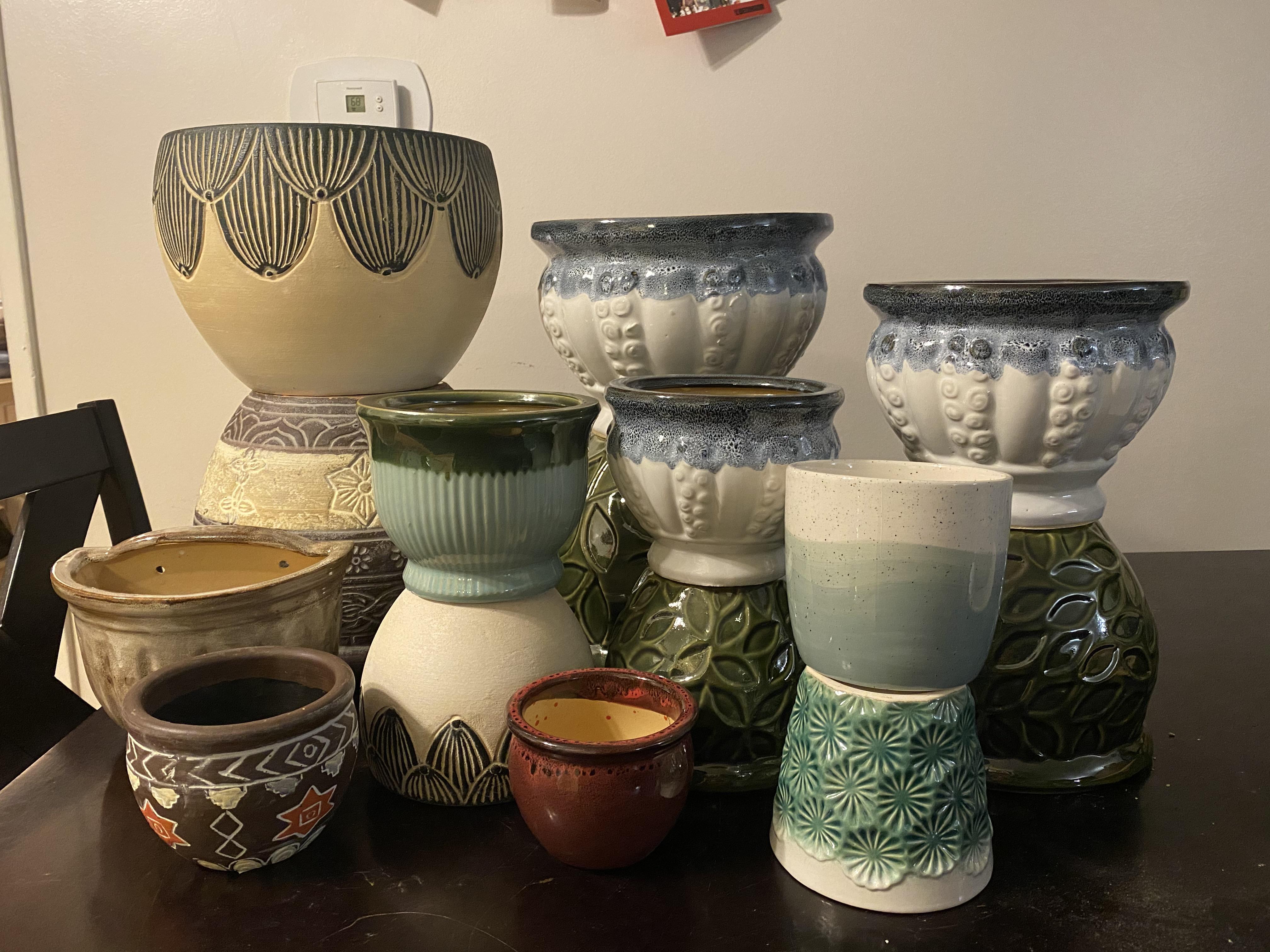 Rite Aid pot haul! All these for less than 80 ;) r/houseplants