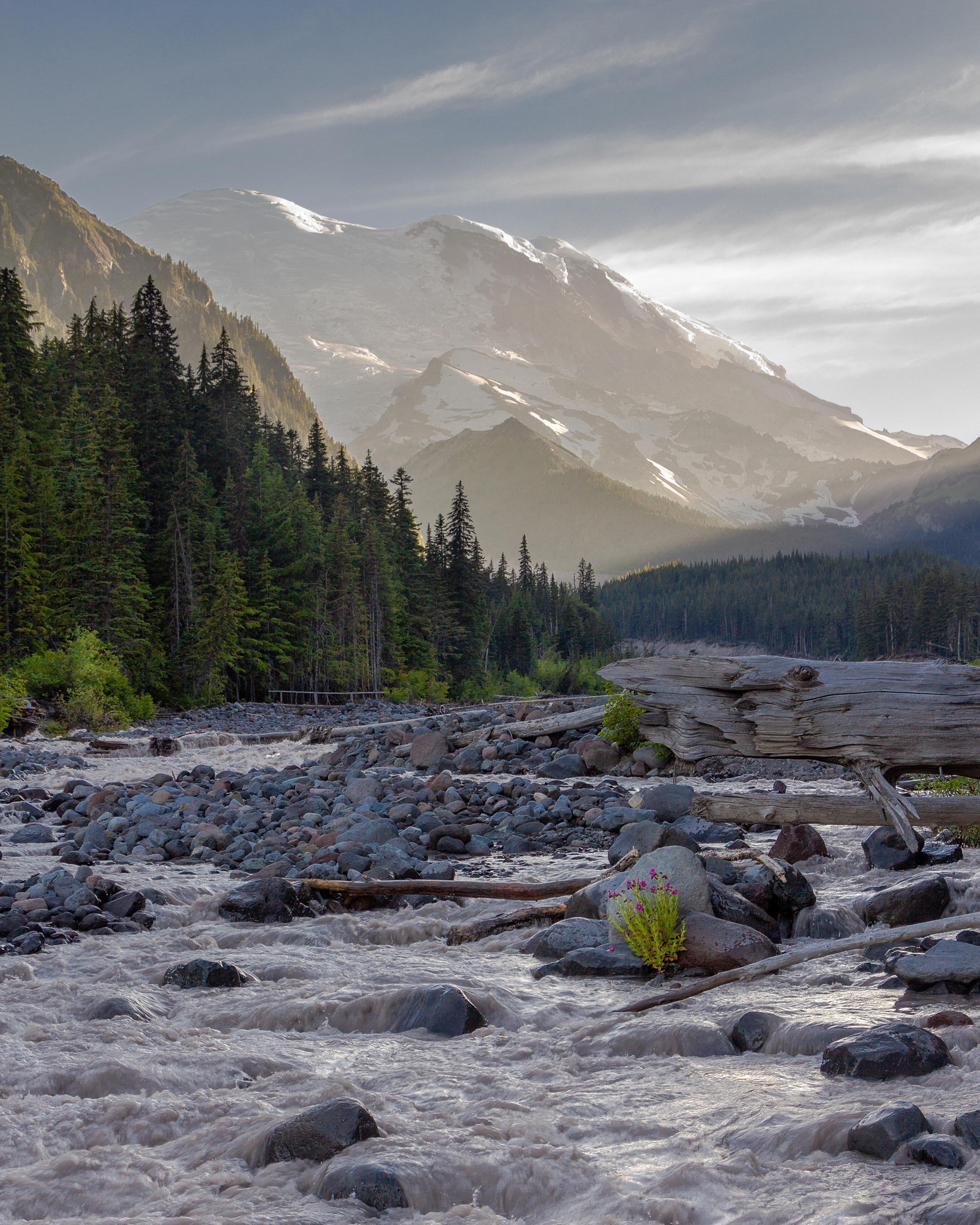 White River, Mount Rainier National Park [OC] r/CampingandHiking