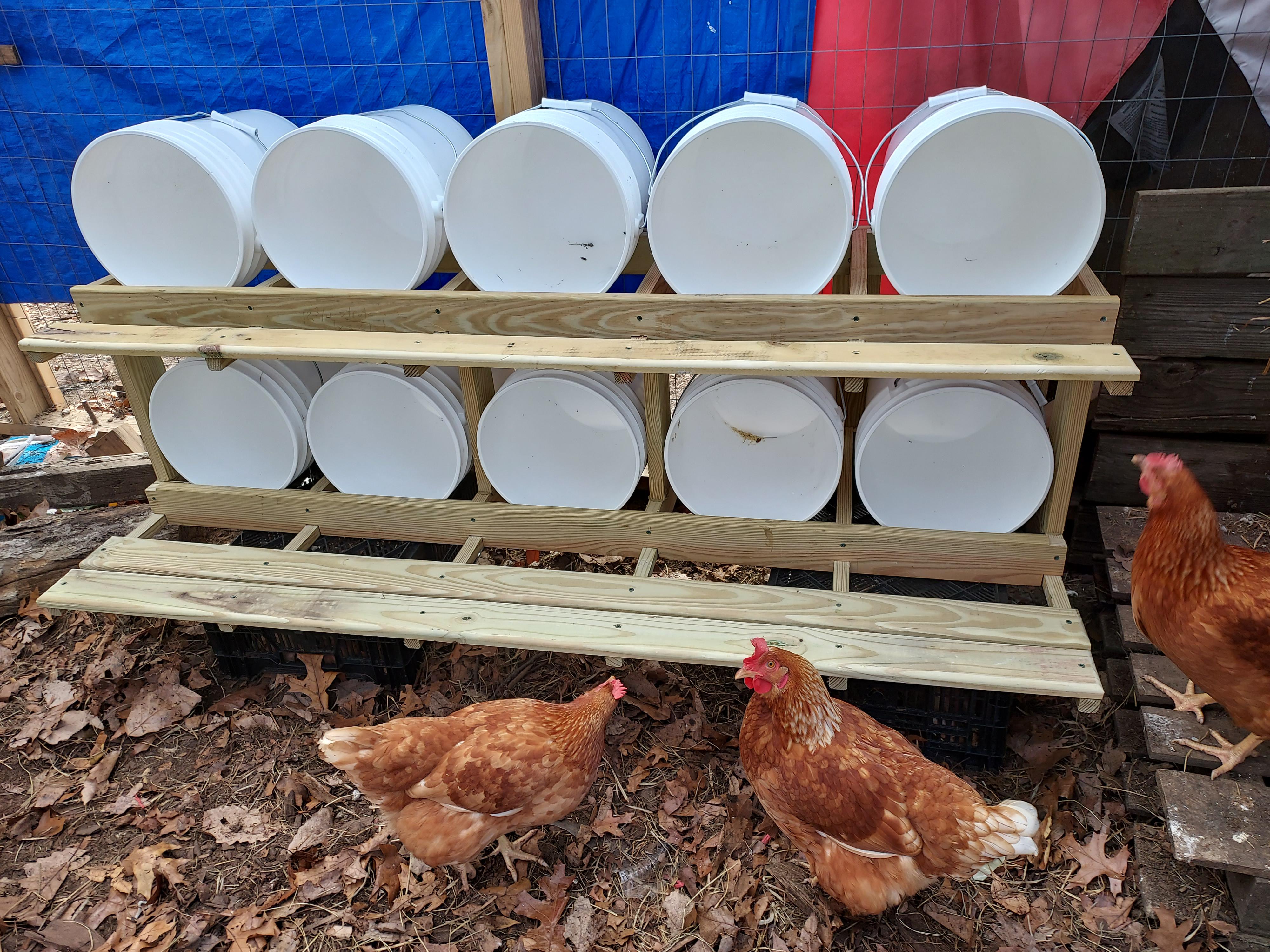 Bucket array for nesting. Will see how they work out. r/chickens