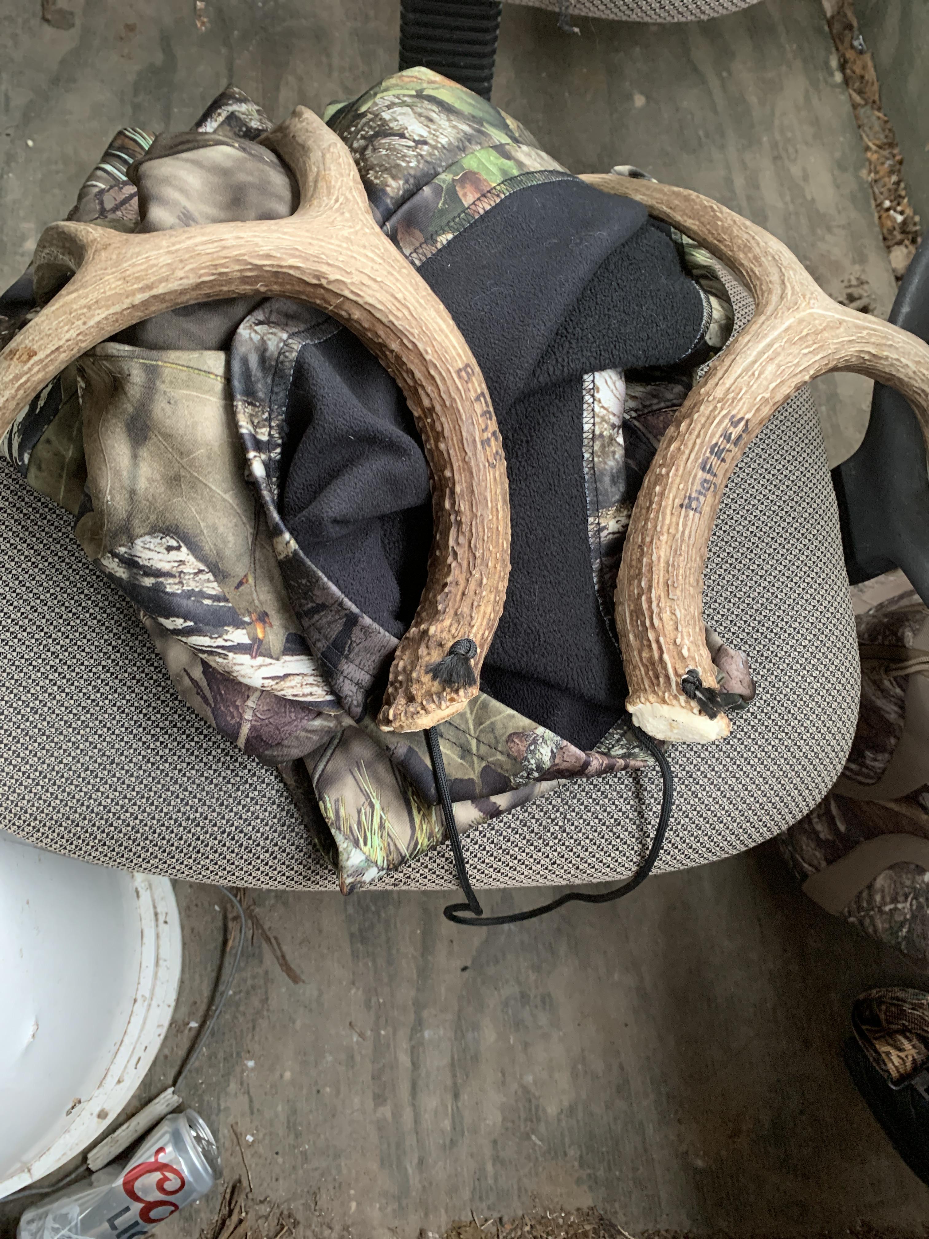 Planning to try rattling today and tomorrow for the first time. Deer