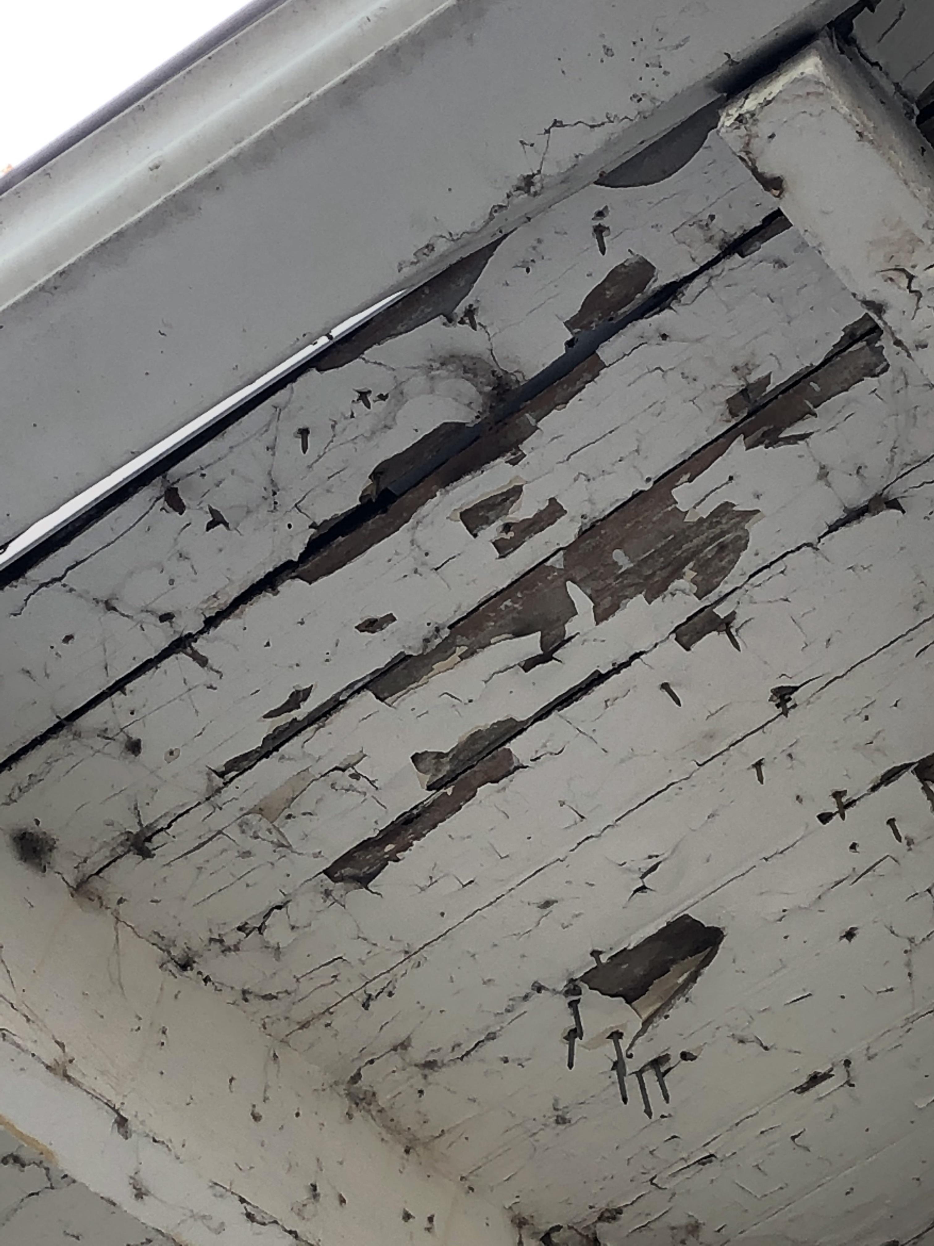 What to do with exposed eaves showing planks under the roof? Thank you