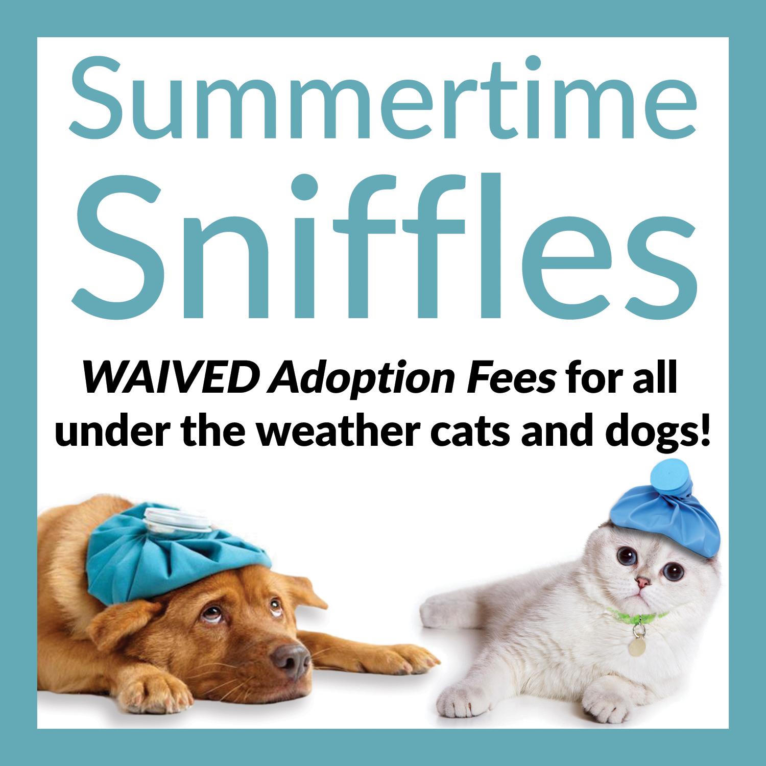 Animal Care Centers of NYC's 'Summertime Sniffles' Promotion is still