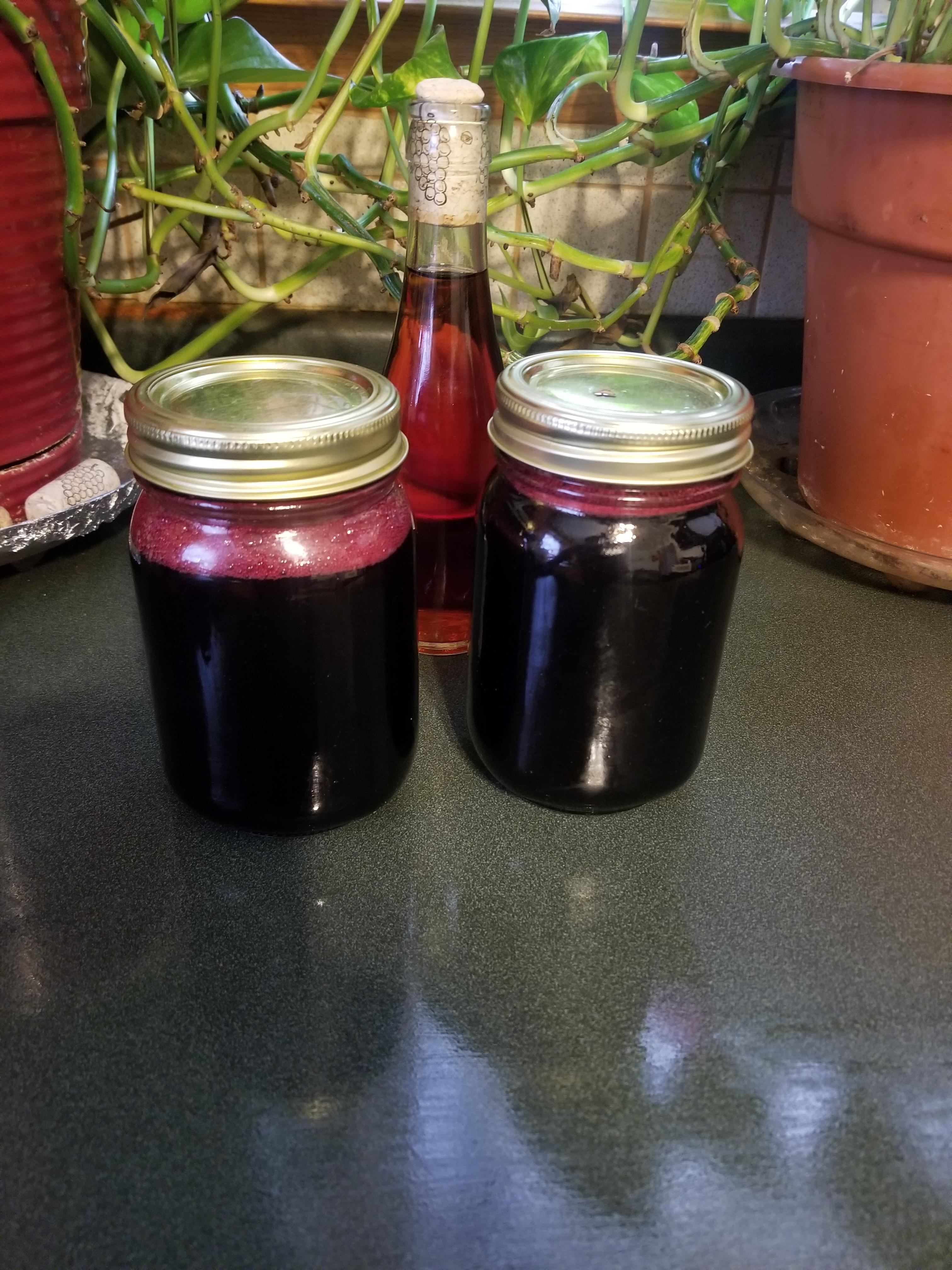 Homemade concentrated Blueberry juice to back sweeten Blueberry wine