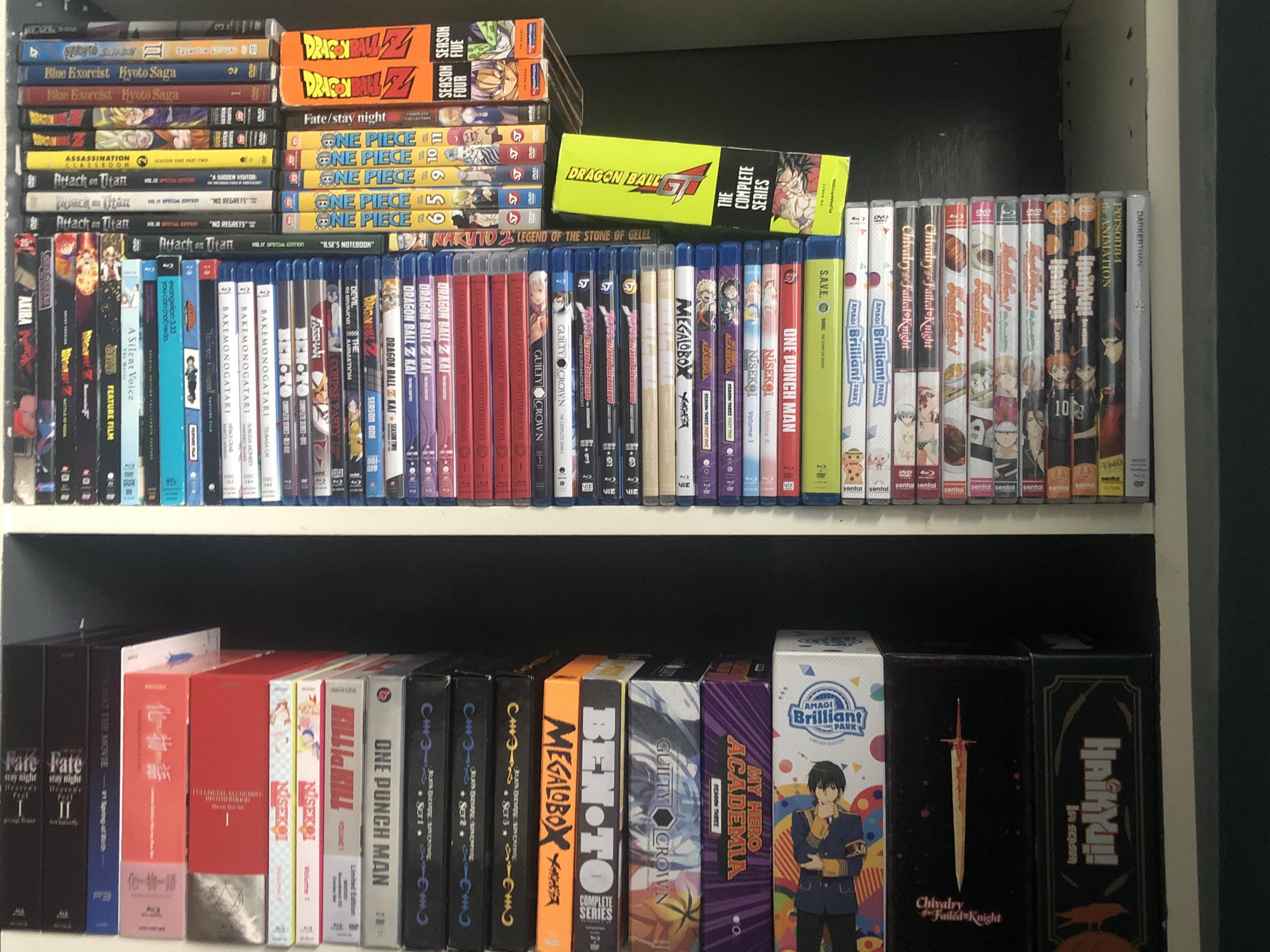 My Entire Anime Collection! AnimeCollectors