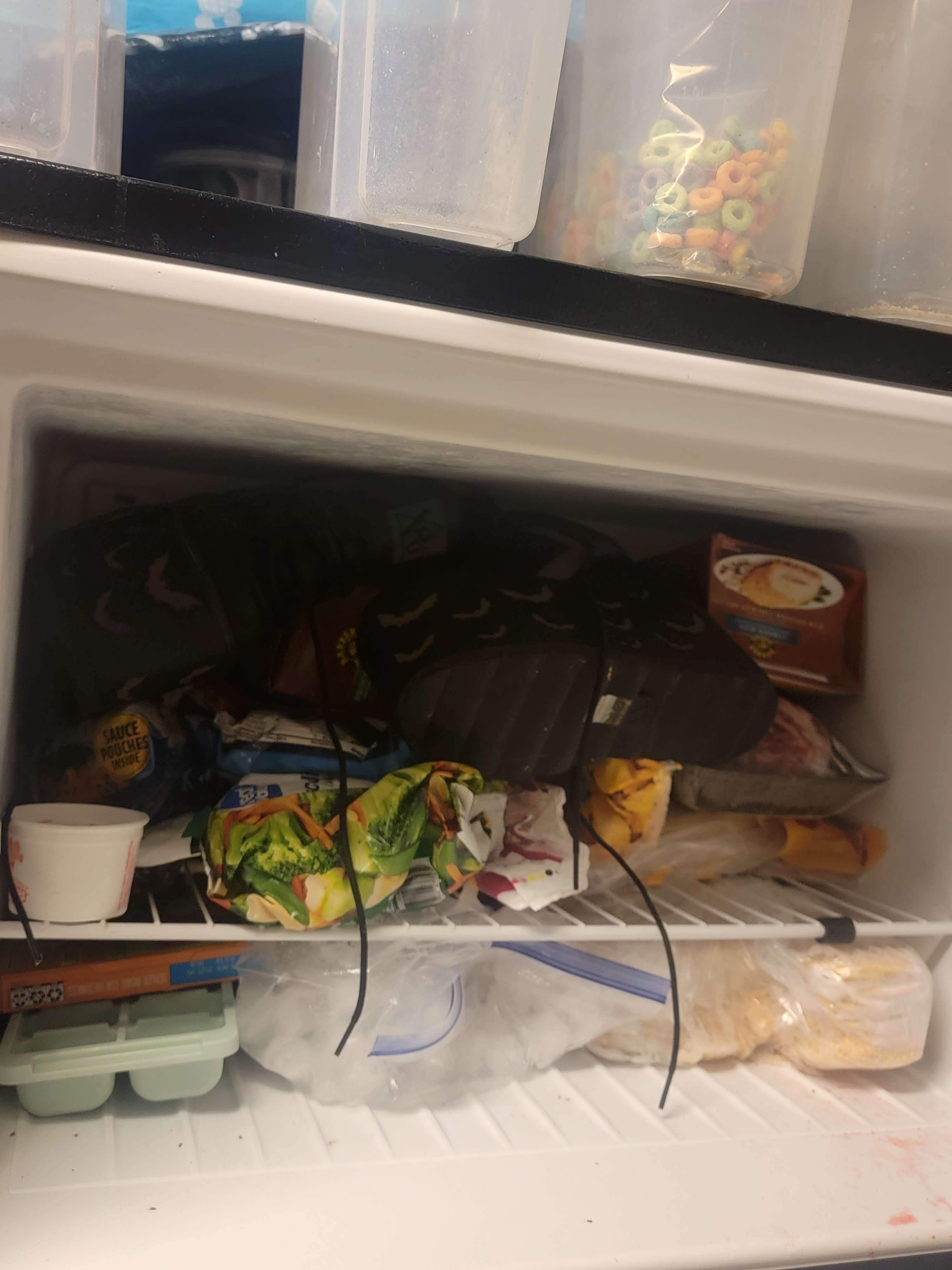 can anyone tell me why my gf's put her new shoes in the freezer? r/Shoes