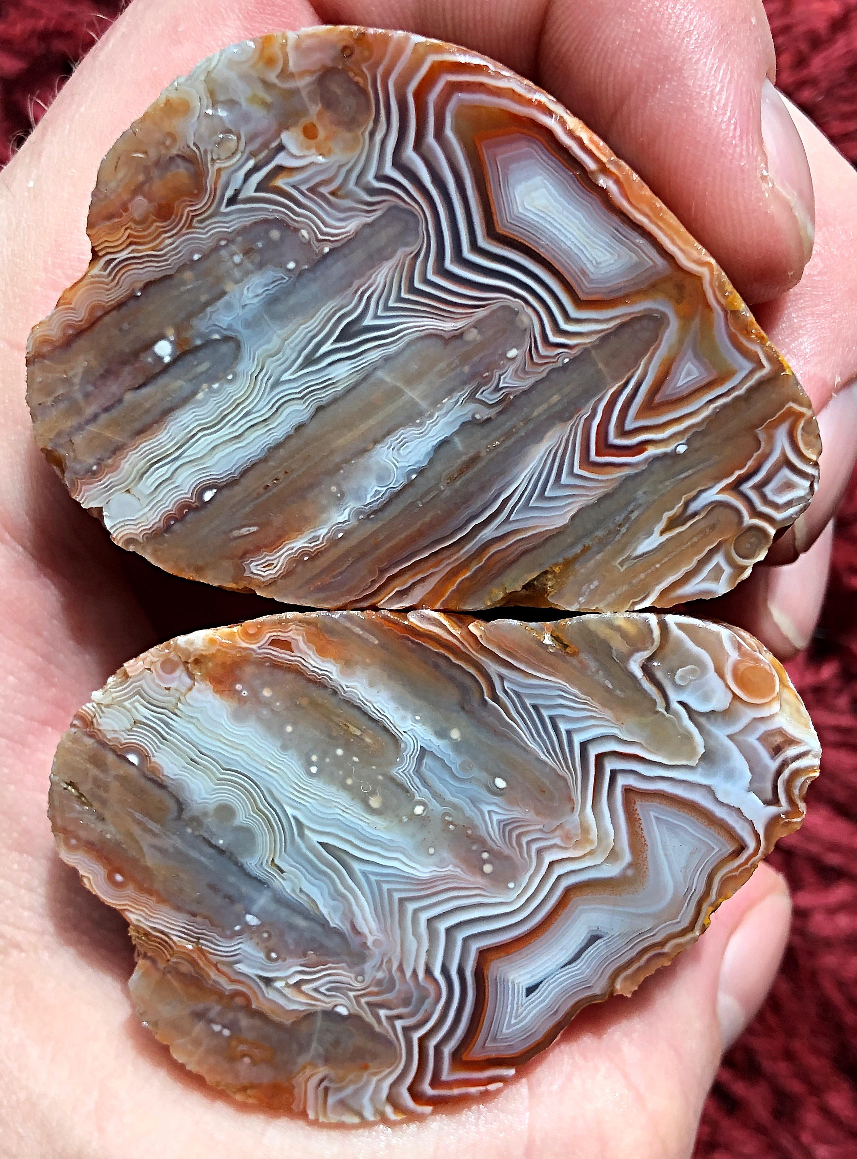 Beauty of a cut Lake Superior Agate. WILD tubes and wicked fortification make this one a