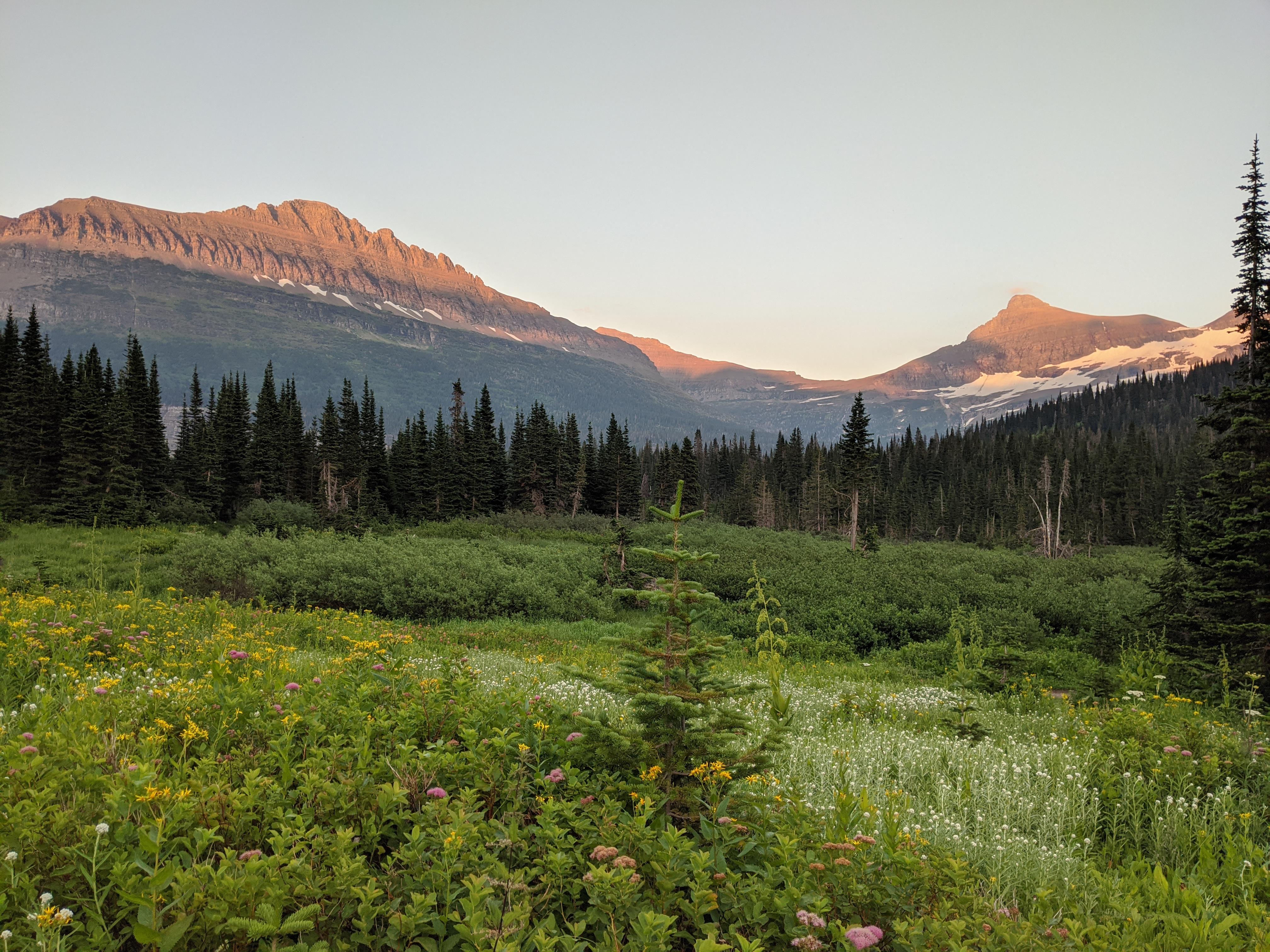 Dusk at Gunsight Pass, Glacier NP, Montana, USA (I almost got mauled by