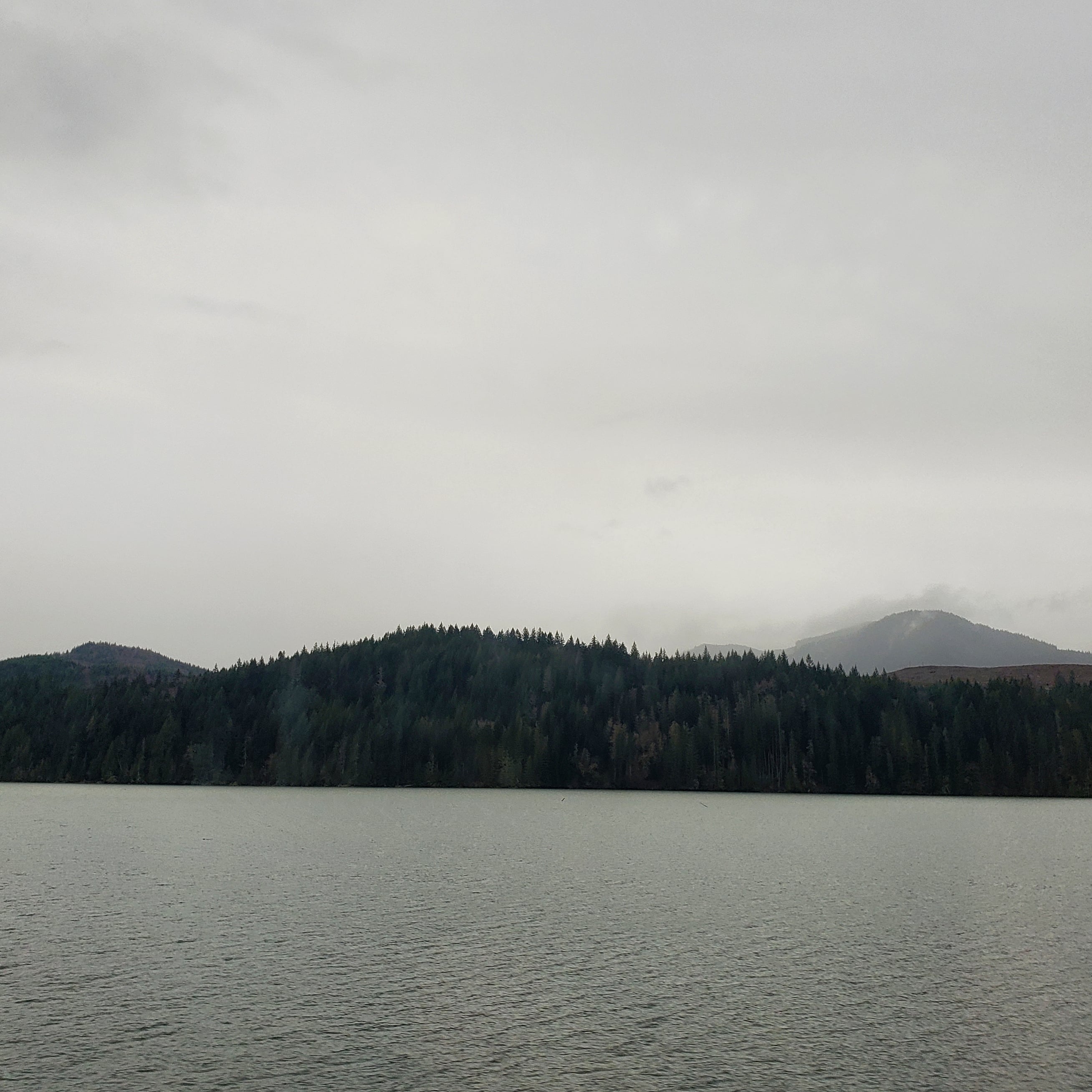 Alder Lake r/PacificNorthwest