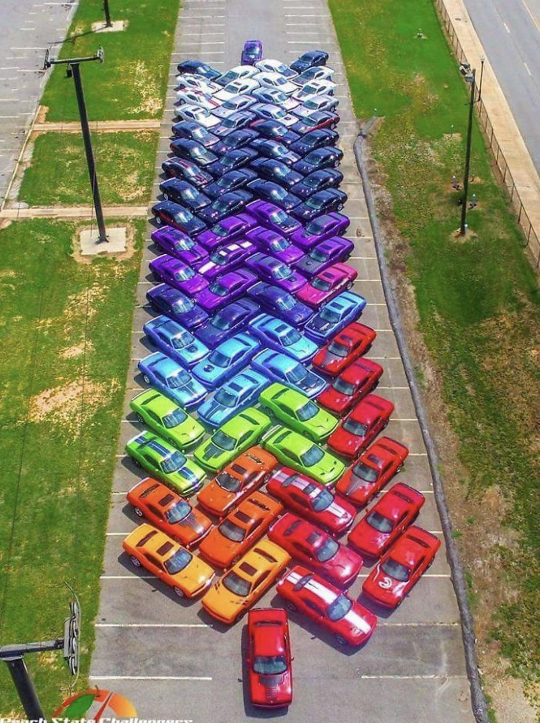 Rainbow cars r/RainbowEverything