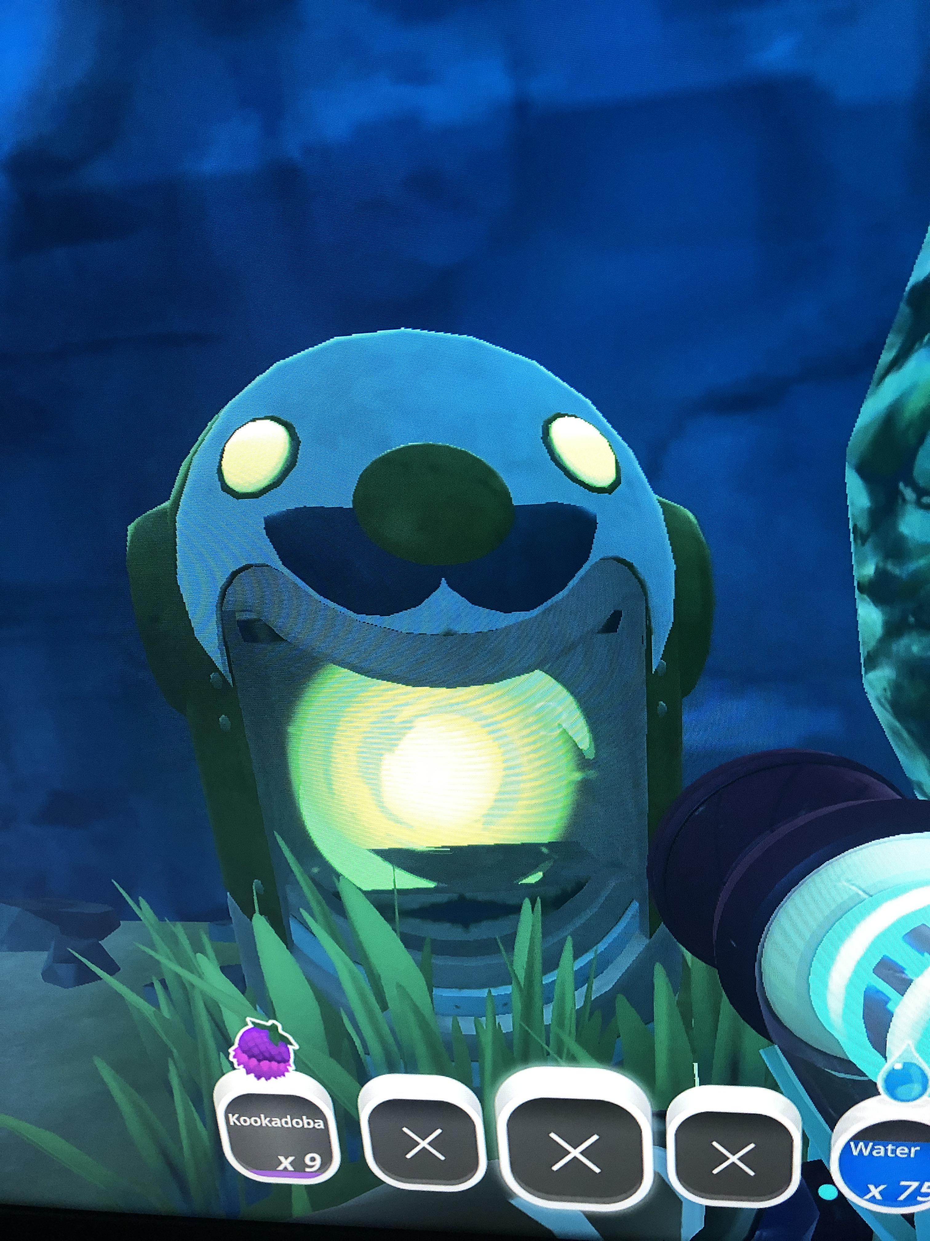 Do these things have a purpose or are they just for decoration? r