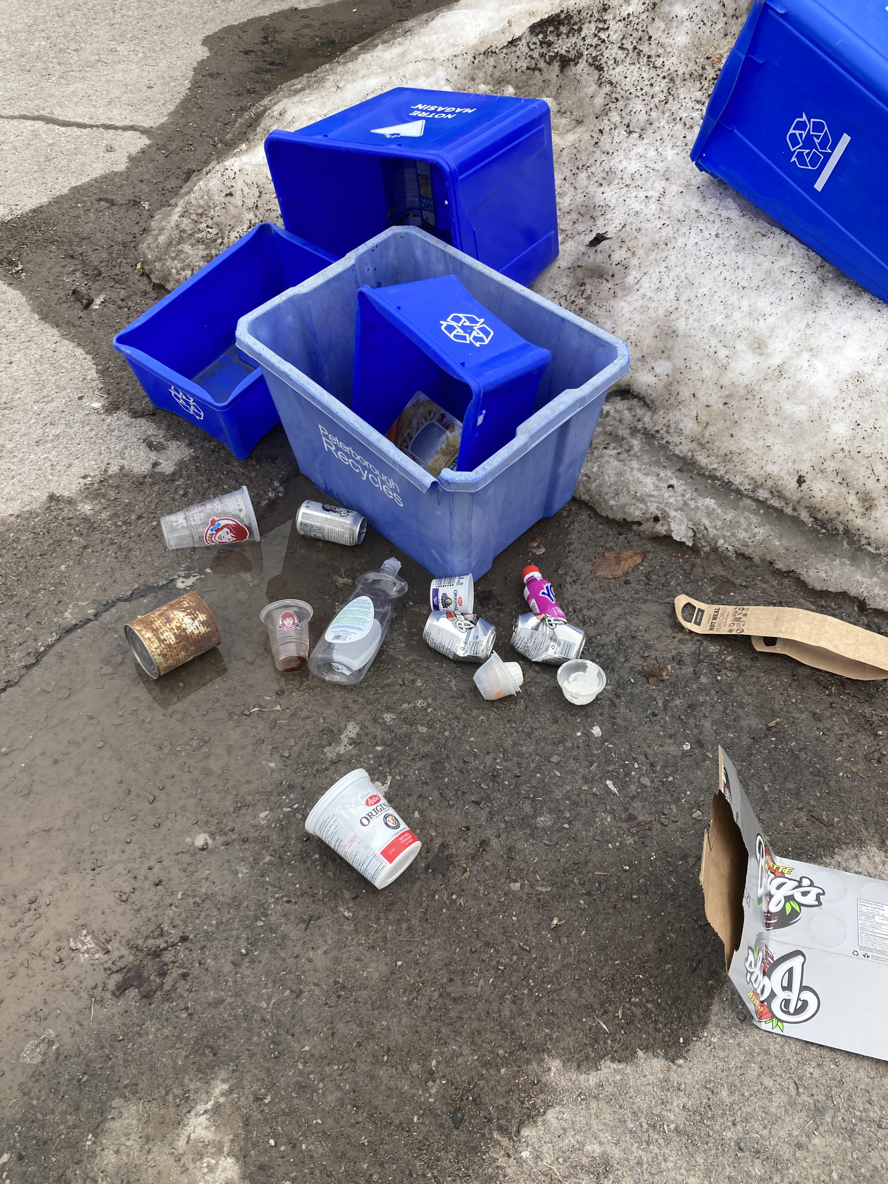 Anyone else have routine issues with garbage and recycling collection