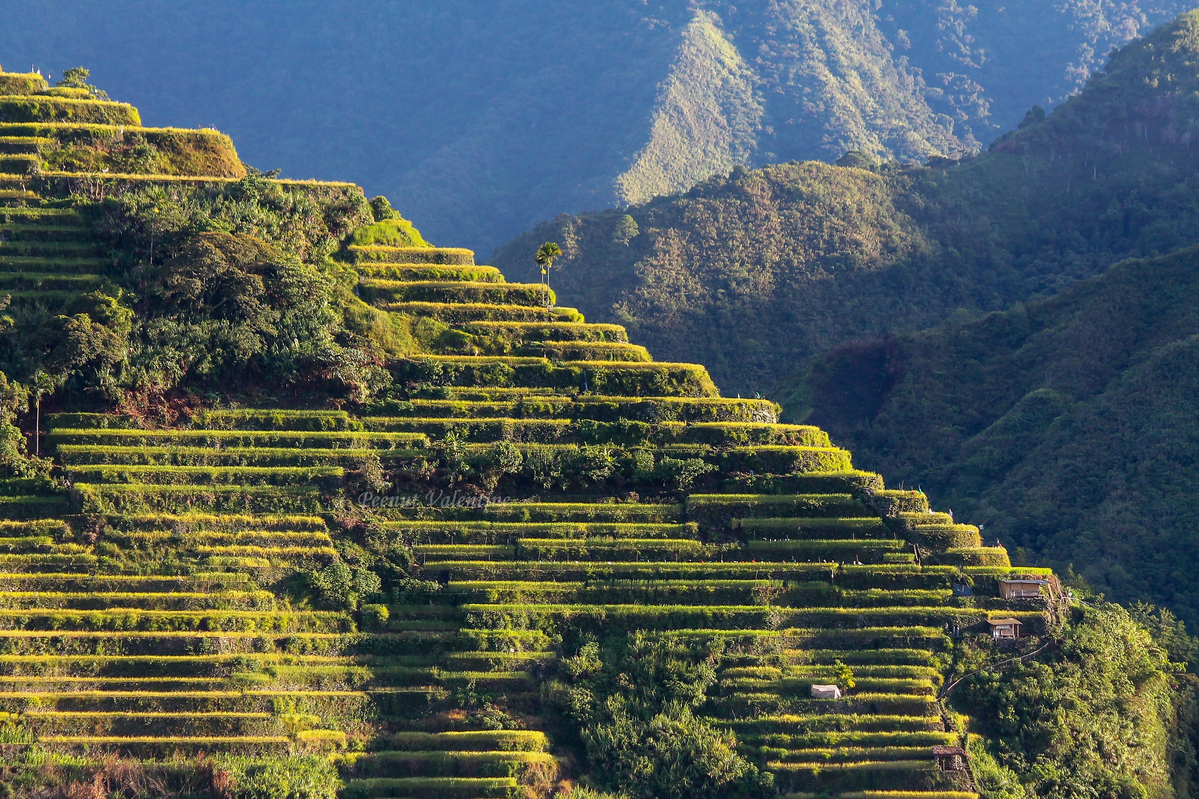 The tip of the iceberg at early dawn. One of UNESCO's world heritage