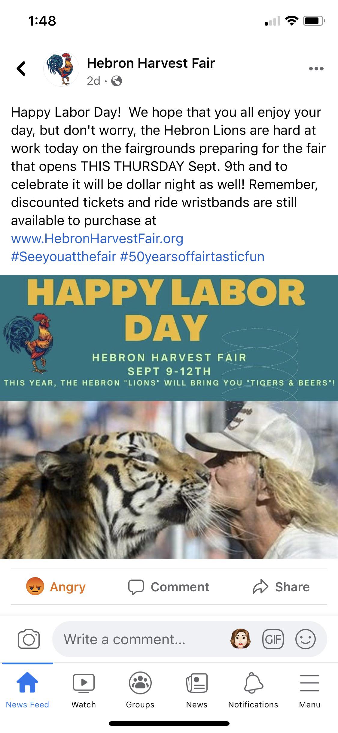 Hebron fair will be featuring Tigers in small cages that are being shuffled around in a