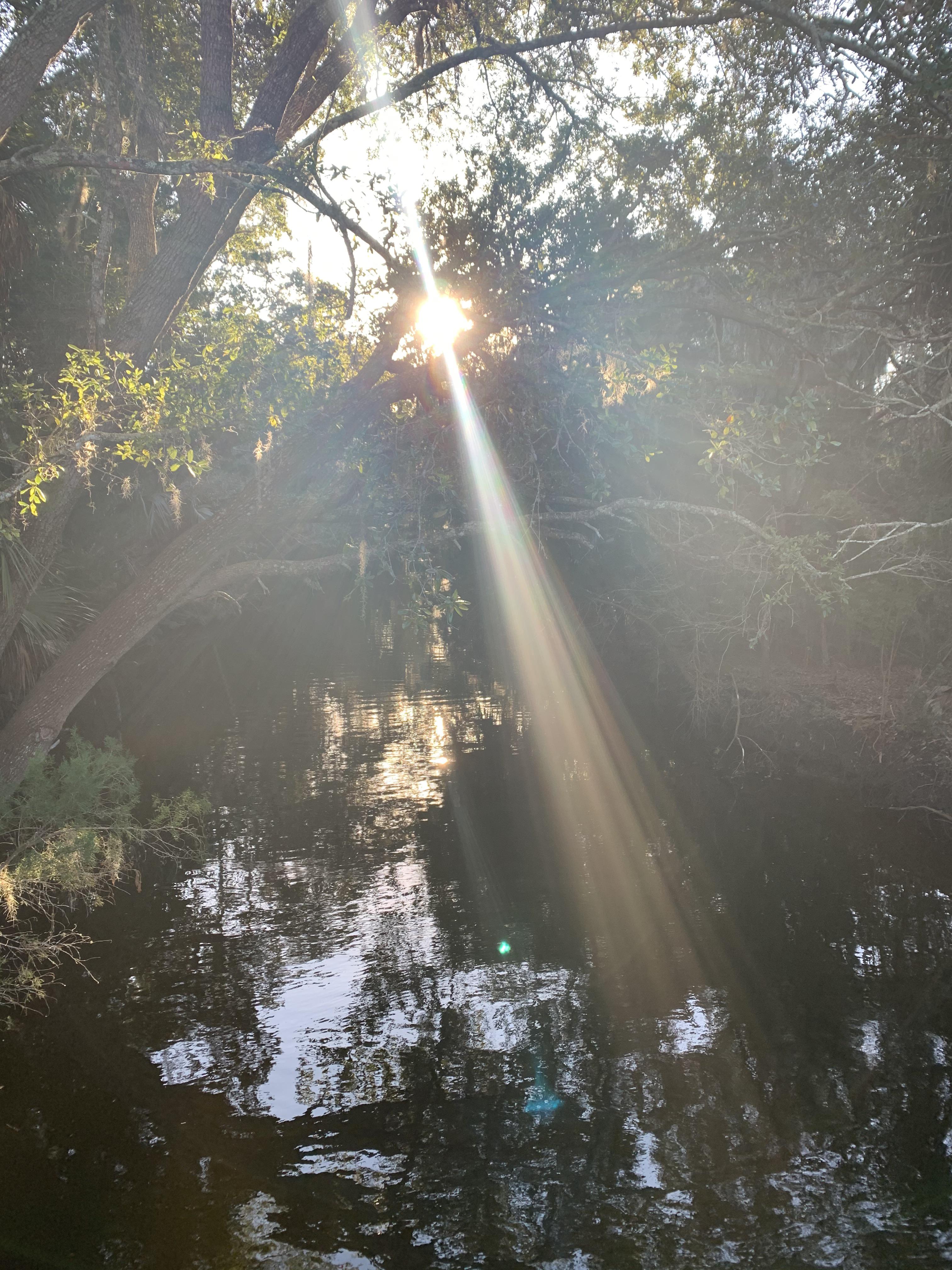 Rays through the canopy over a tributary to Smith Creek. Palm Coast, Fl. r/GloriousSunRays