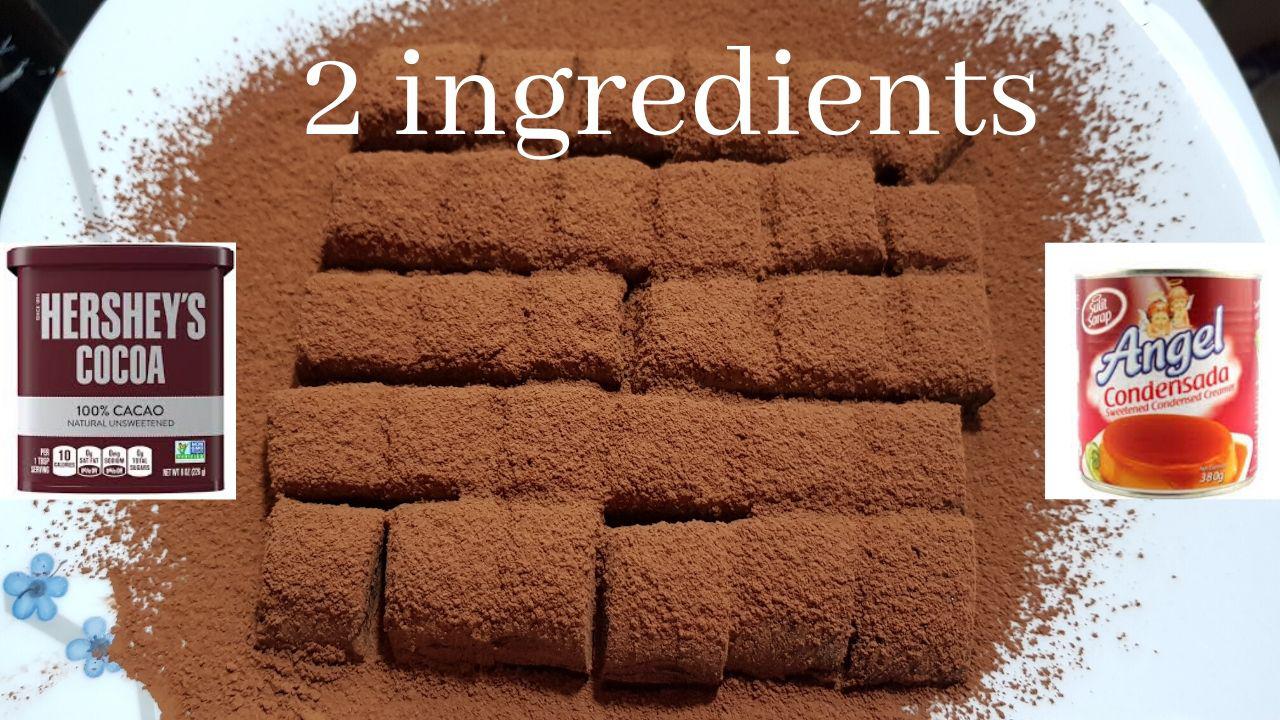 Condensed Milk Chocolate Truffles Easy Recipe 2 ingredients only