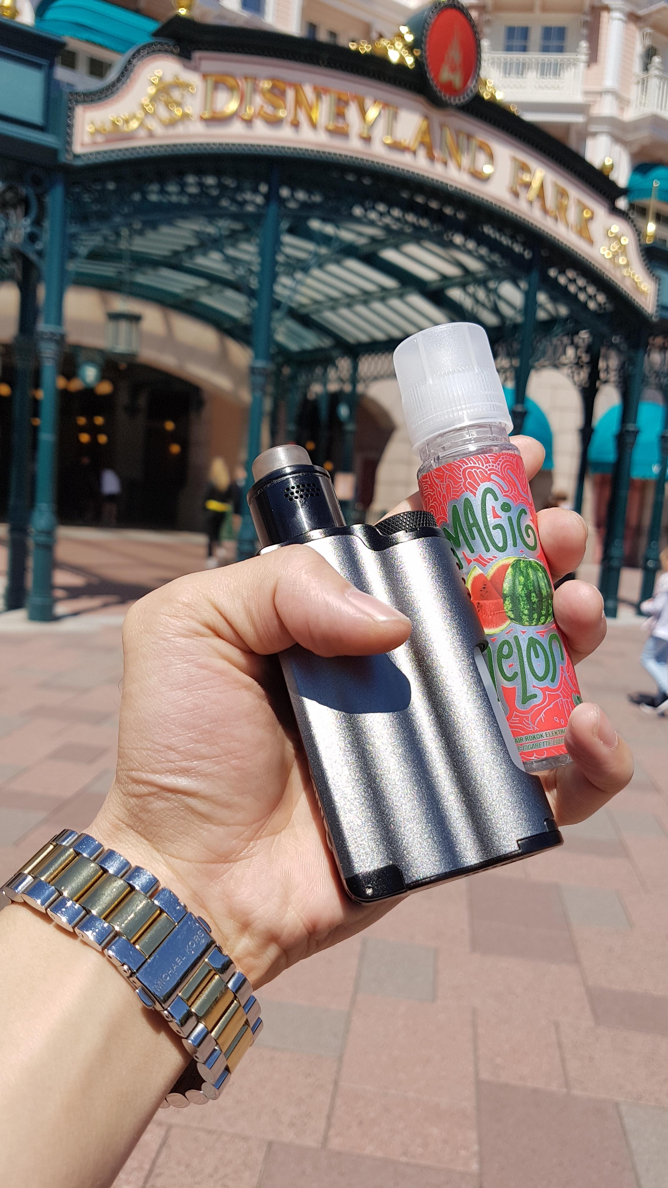Disneyland Paris Handcheck🙂 r/Vaping