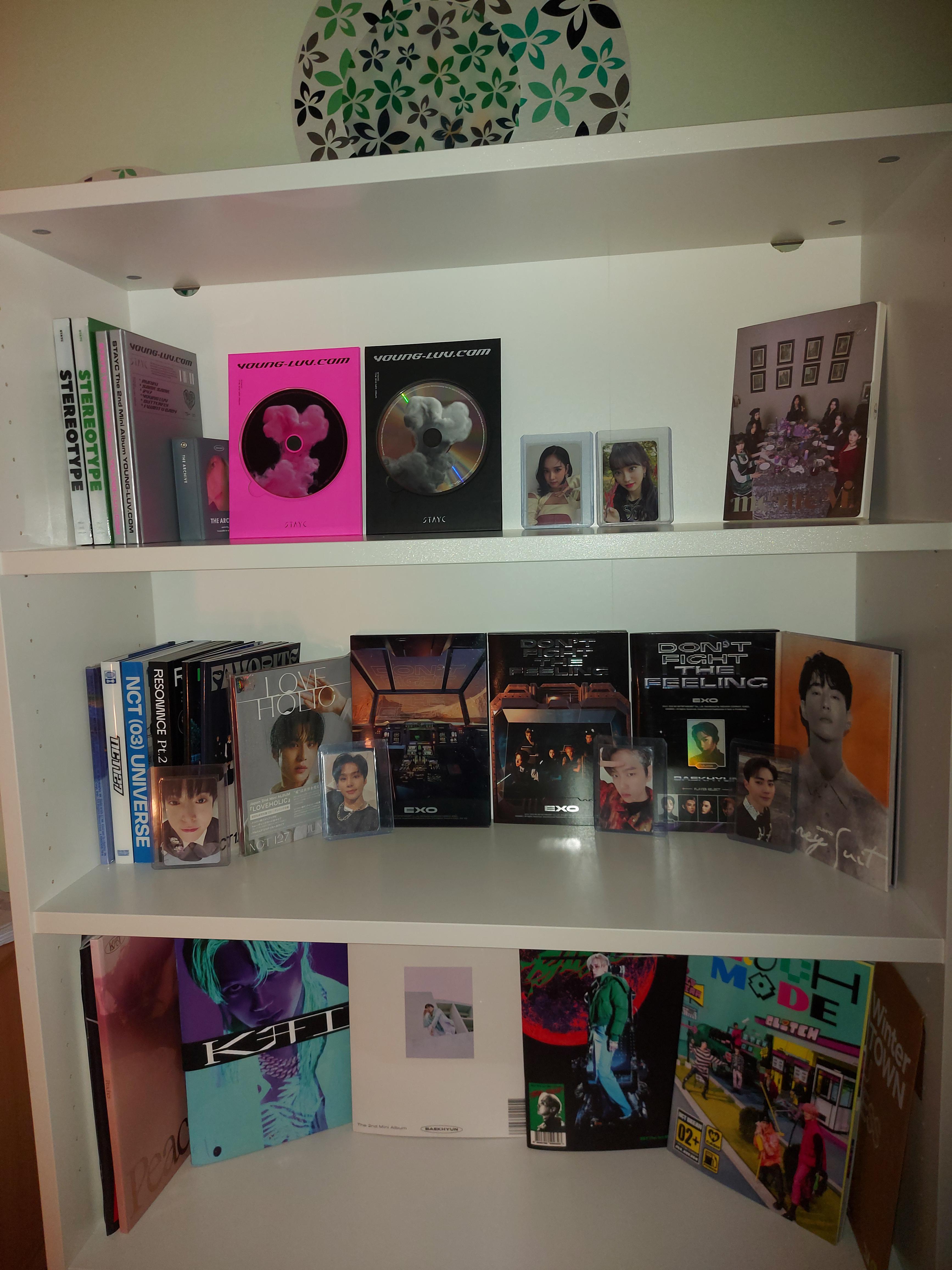 My new shelf setup. Just bought it today and this is my first setup