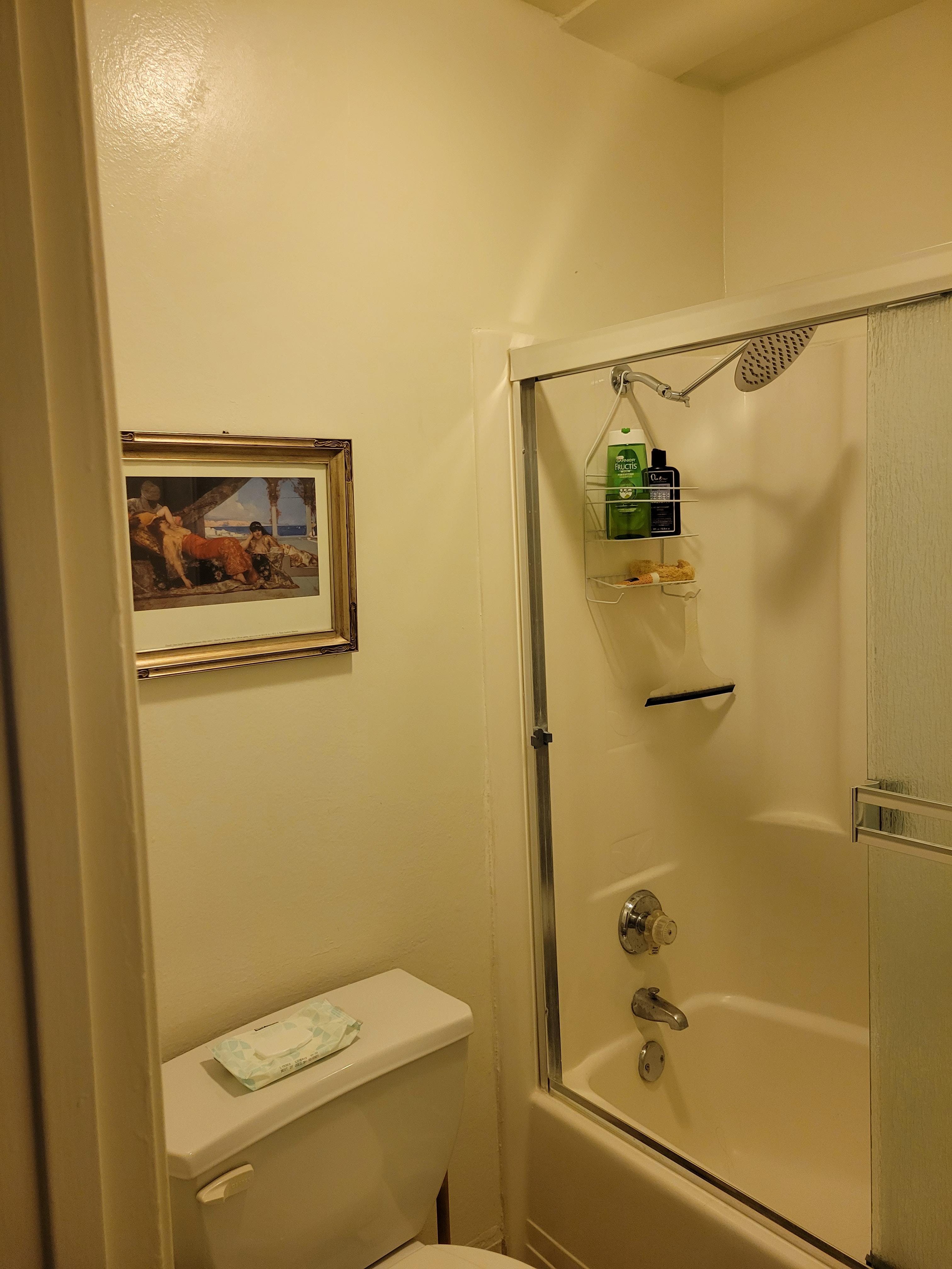 How can I DIY update tiny bathroom on a budget? Fiberglass tub and