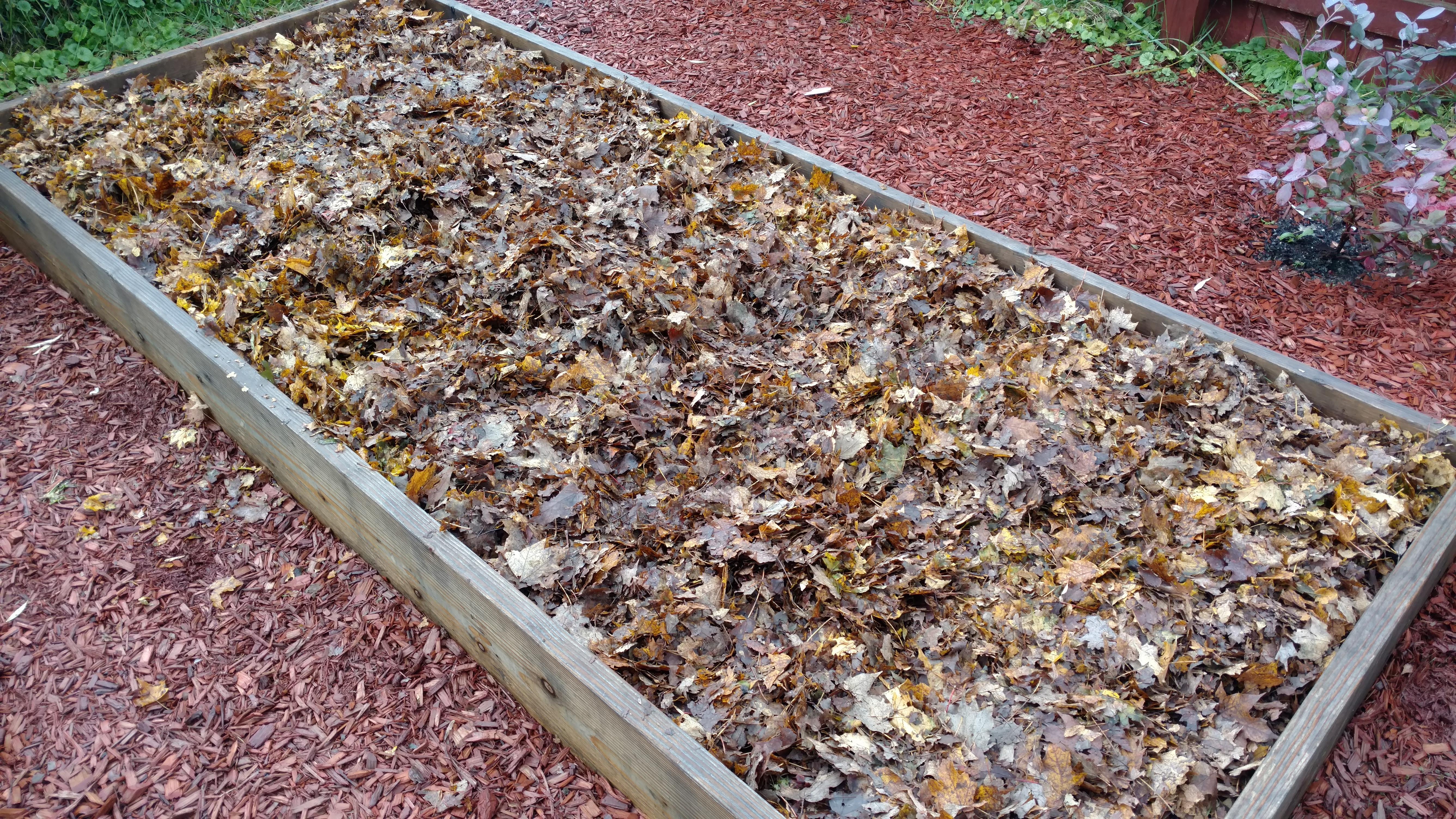 Anyone else use this technique? 1 hour of vacuuming/mulching leaves