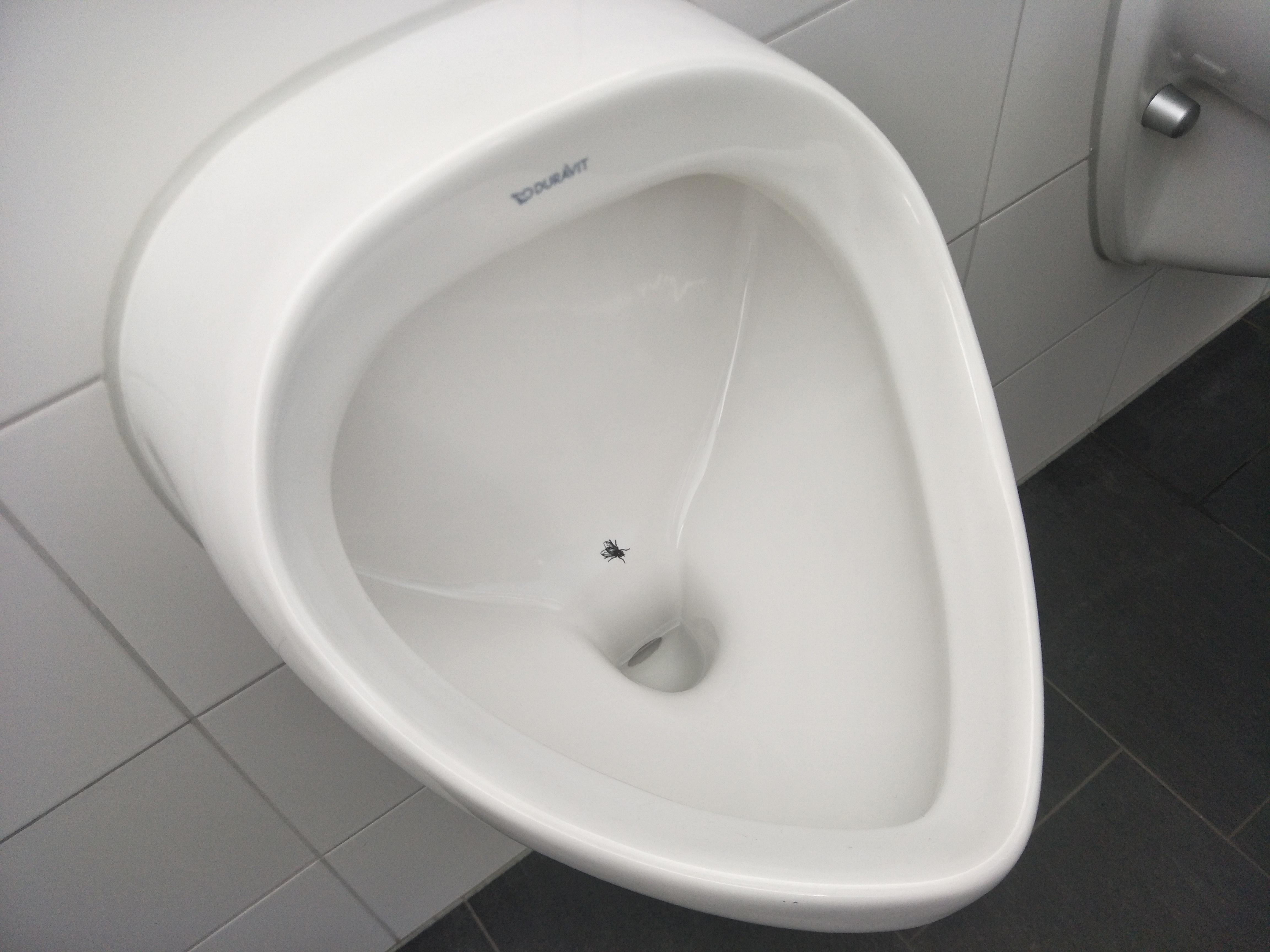 These urinals with a picture of a fly in it for men to aim at and not