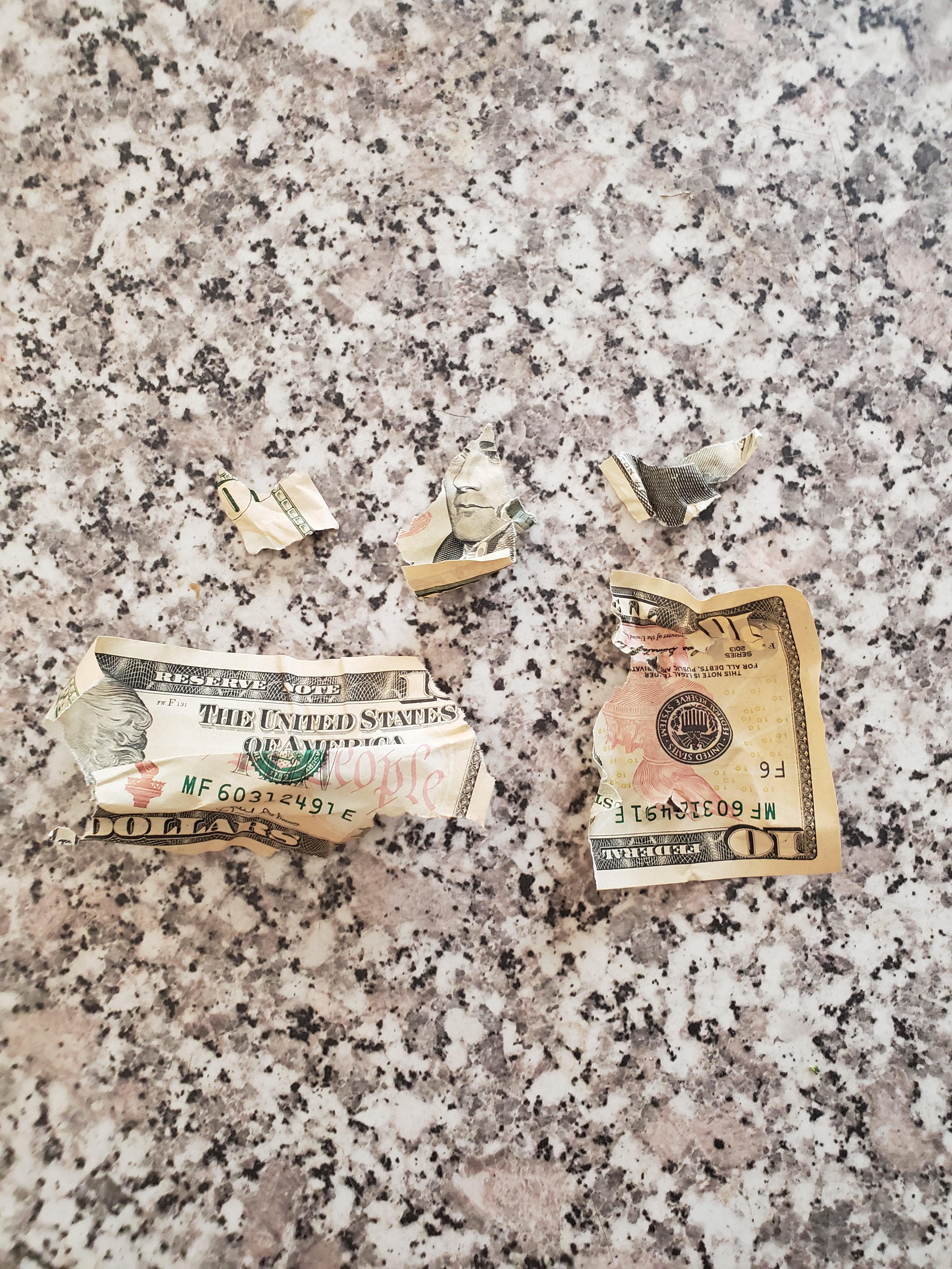My dogs chewed up my lunch money... r/Wellthatsucks