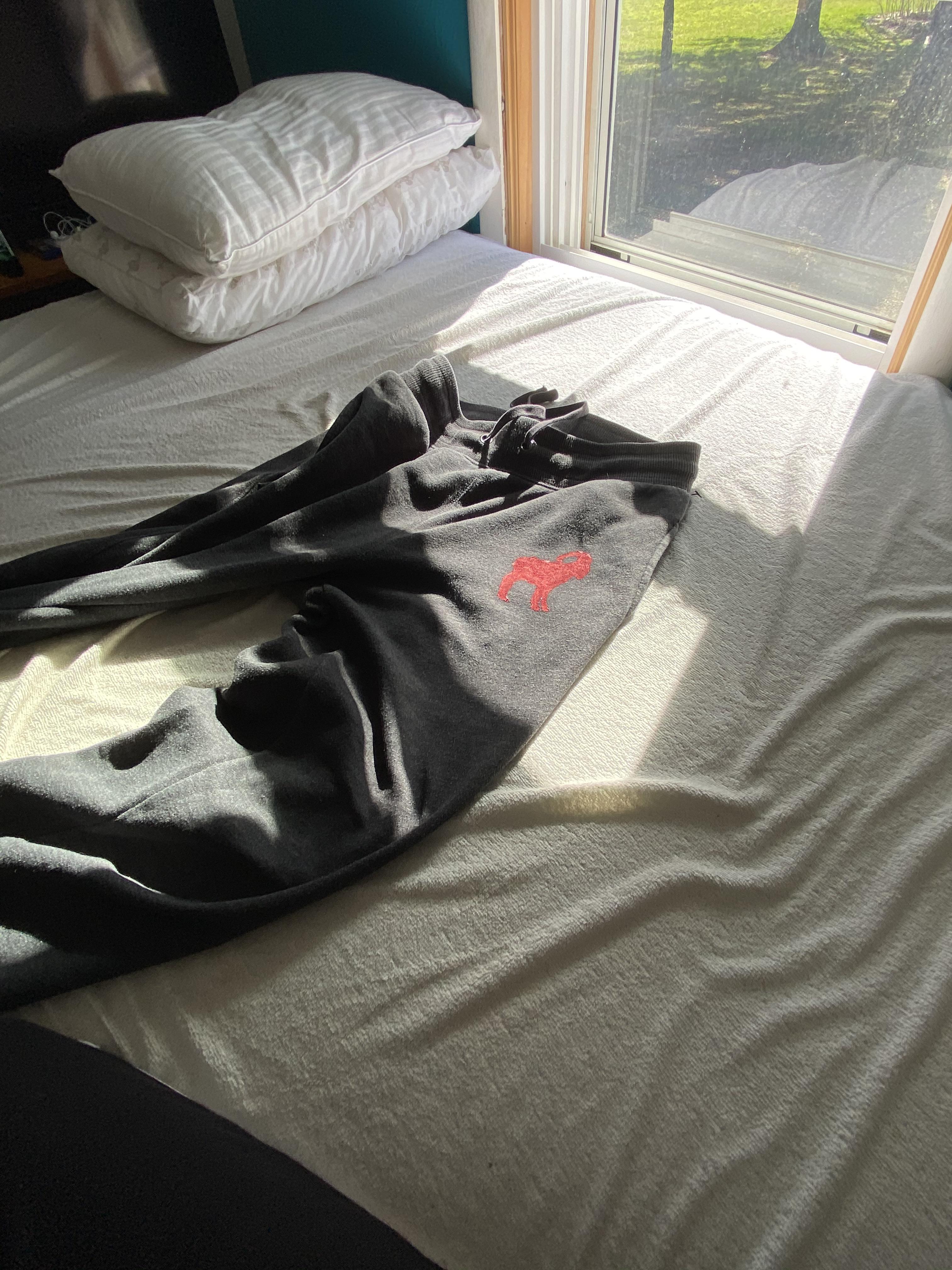 Painted a iowa goat on my sweat pants lol r/Slipknot