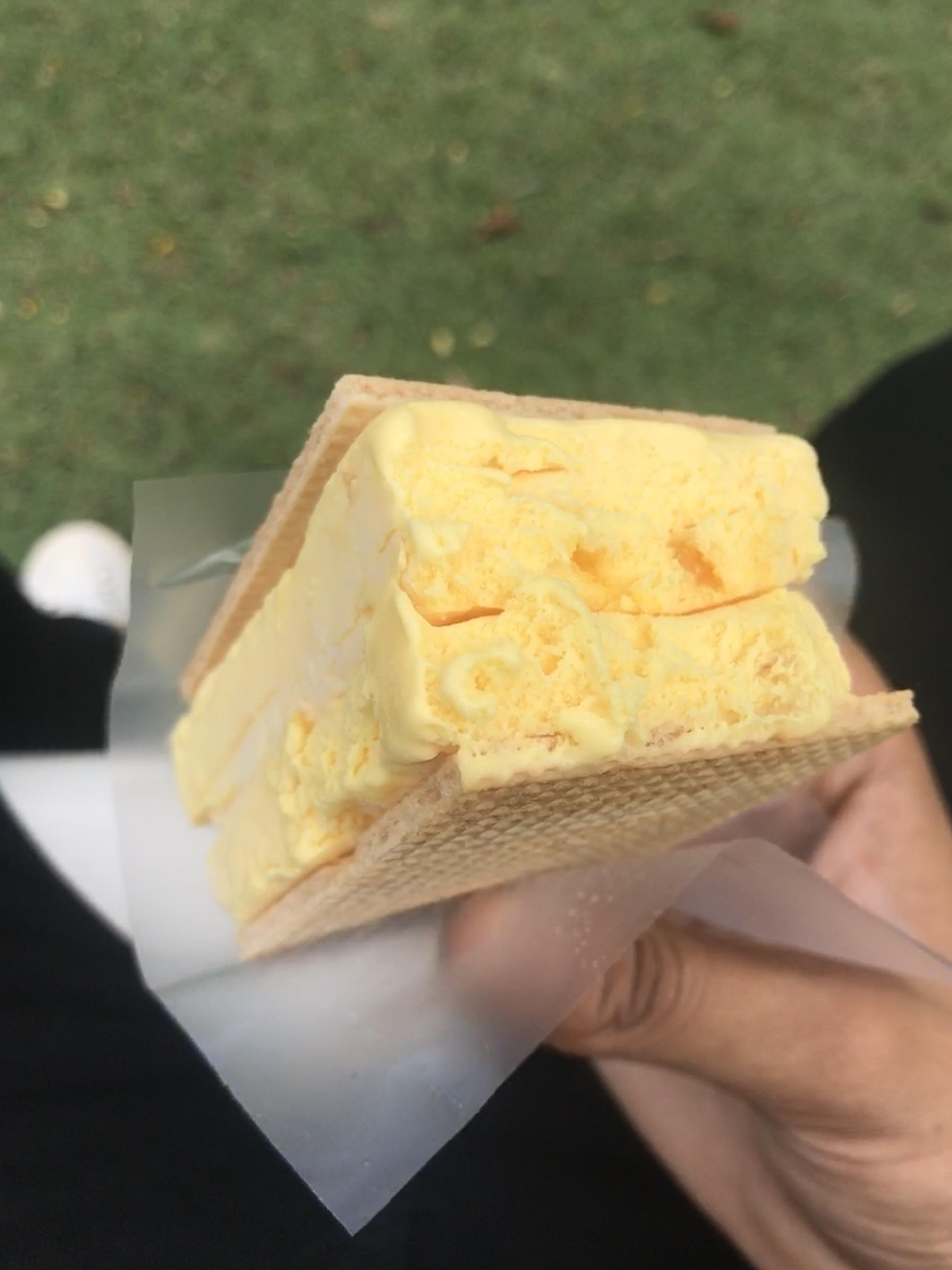 [I ate] Mango ice cream wafer sandwich via /r/food Healthy Energy
