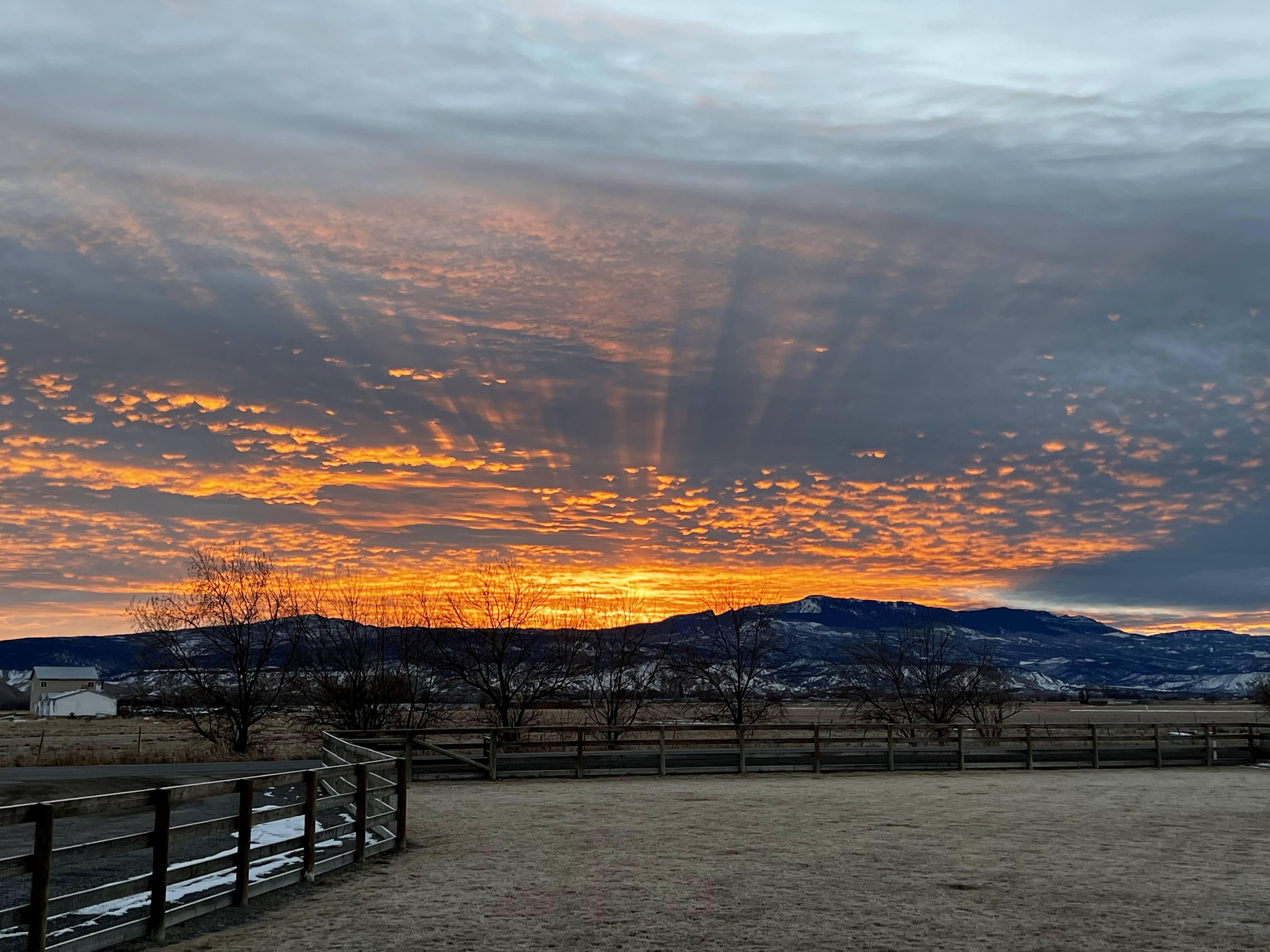 Sunrise in Montrose r/Colorado