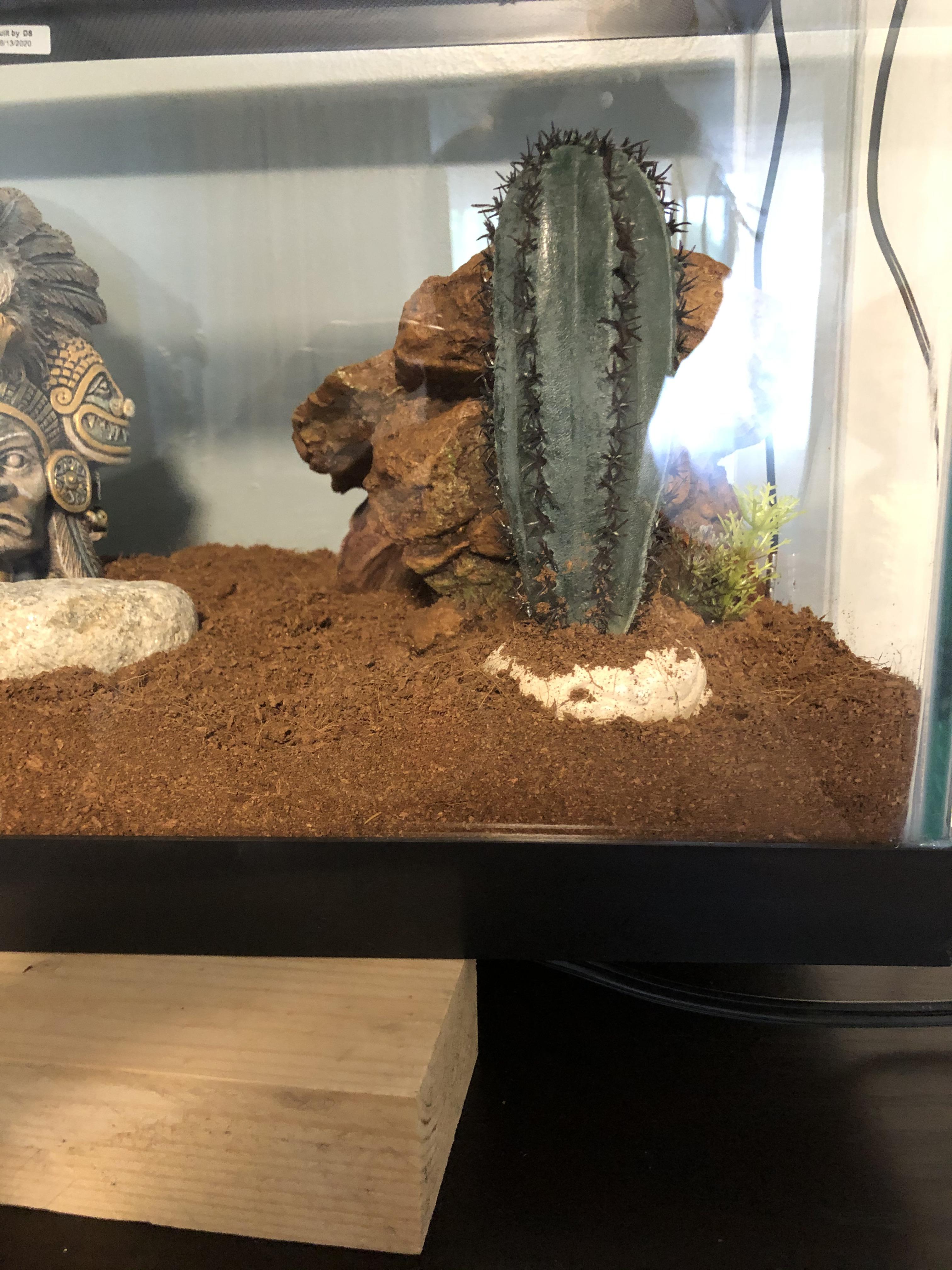 Heating pad is set to 29°C with about 1 inch and a bit of coconut fibre