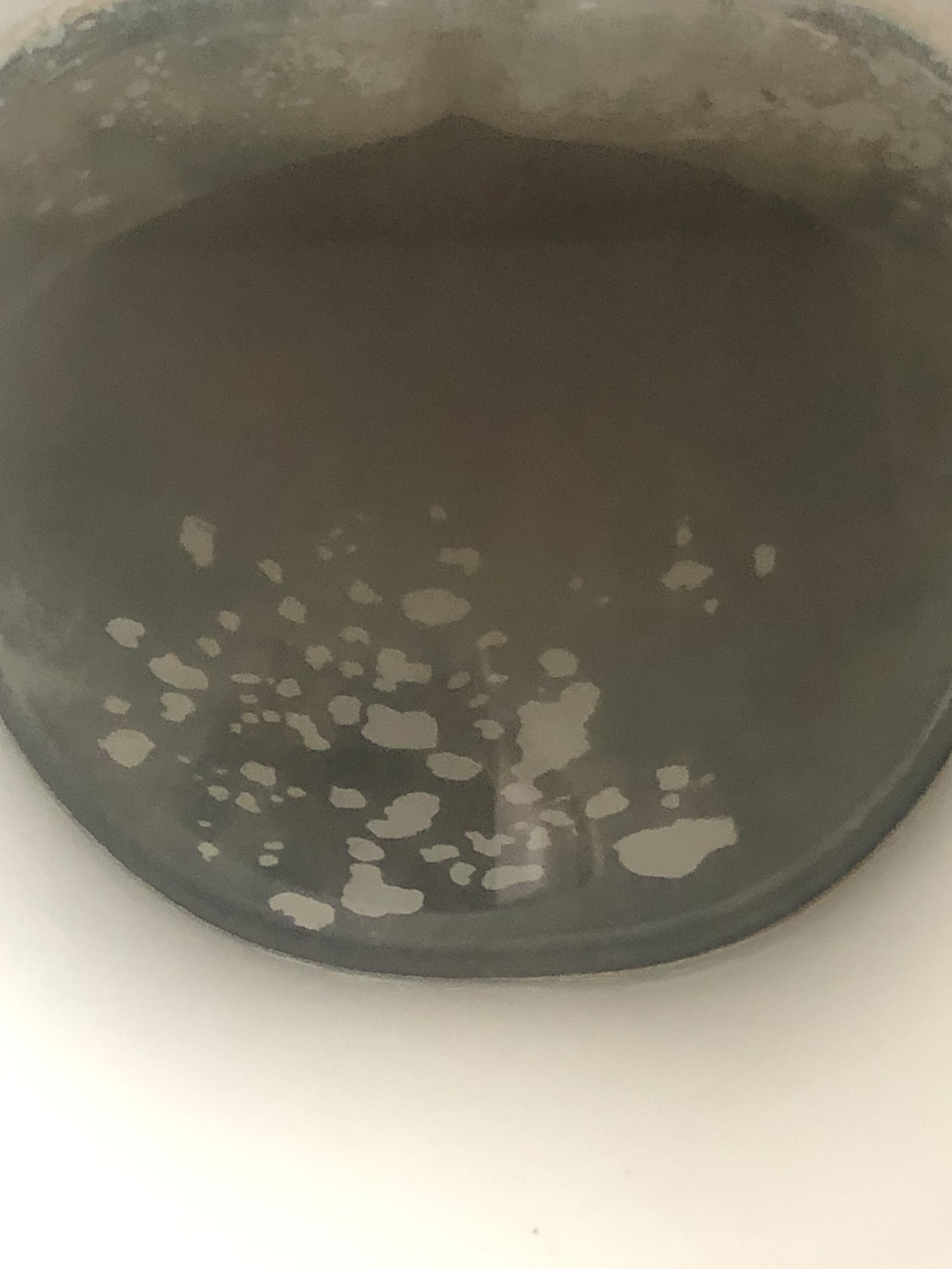 How to clean black toilet bowl? r/CleaningTips