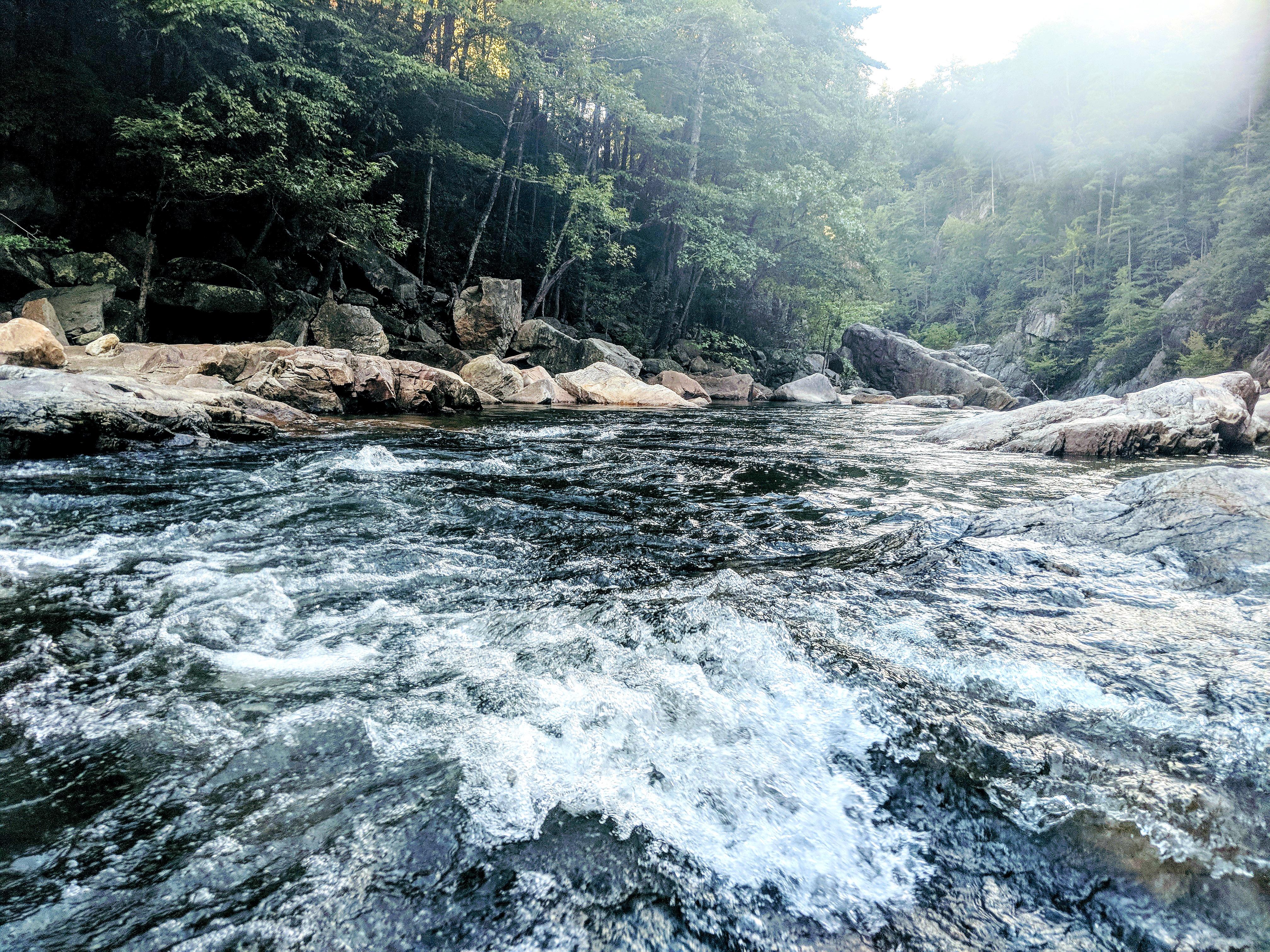 Rafted for four days in Wilson Creek It dropped considerably