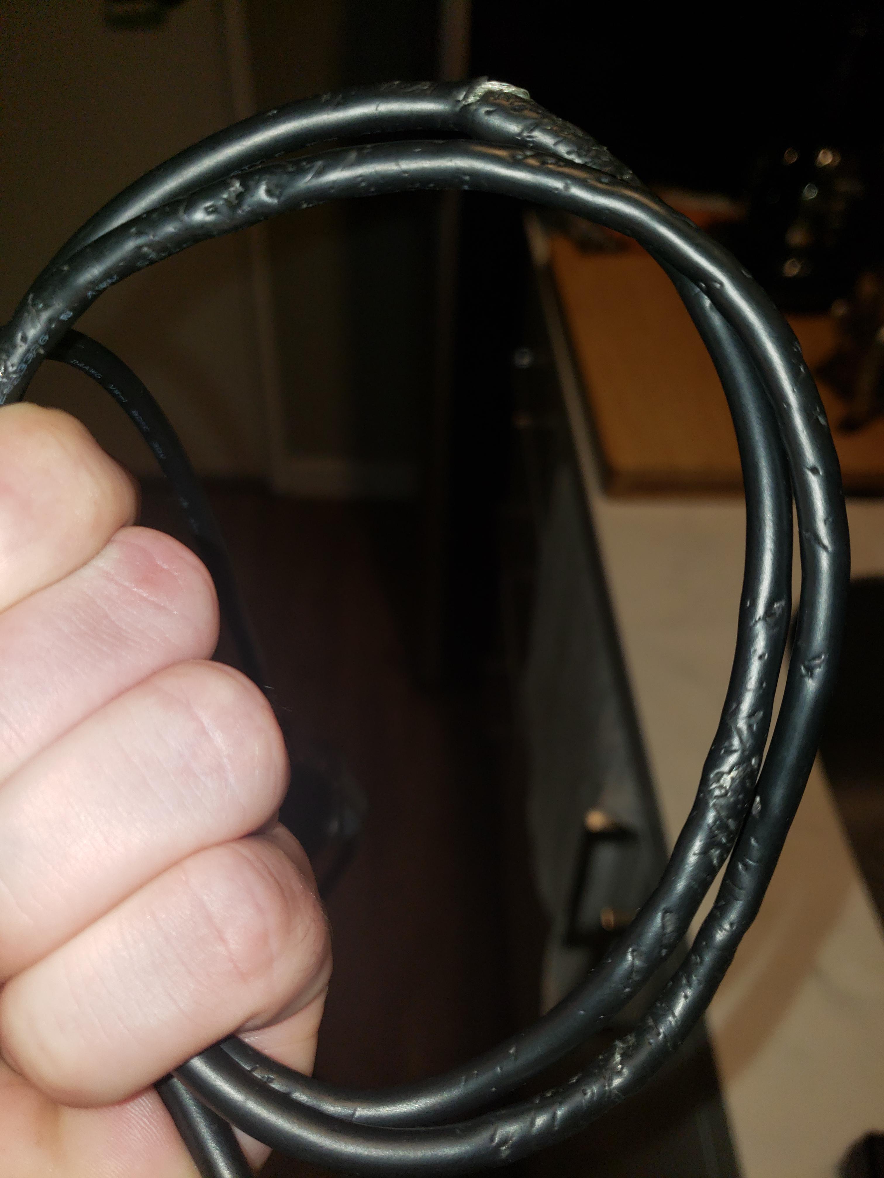 Cats chew on wires? Had to replace my laptop power pack. Haven't seen