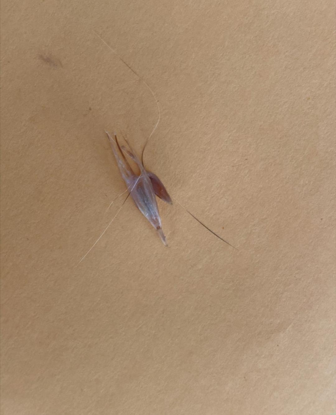 My cat's eye was swollen shut, booked a vet appointment. Decided to