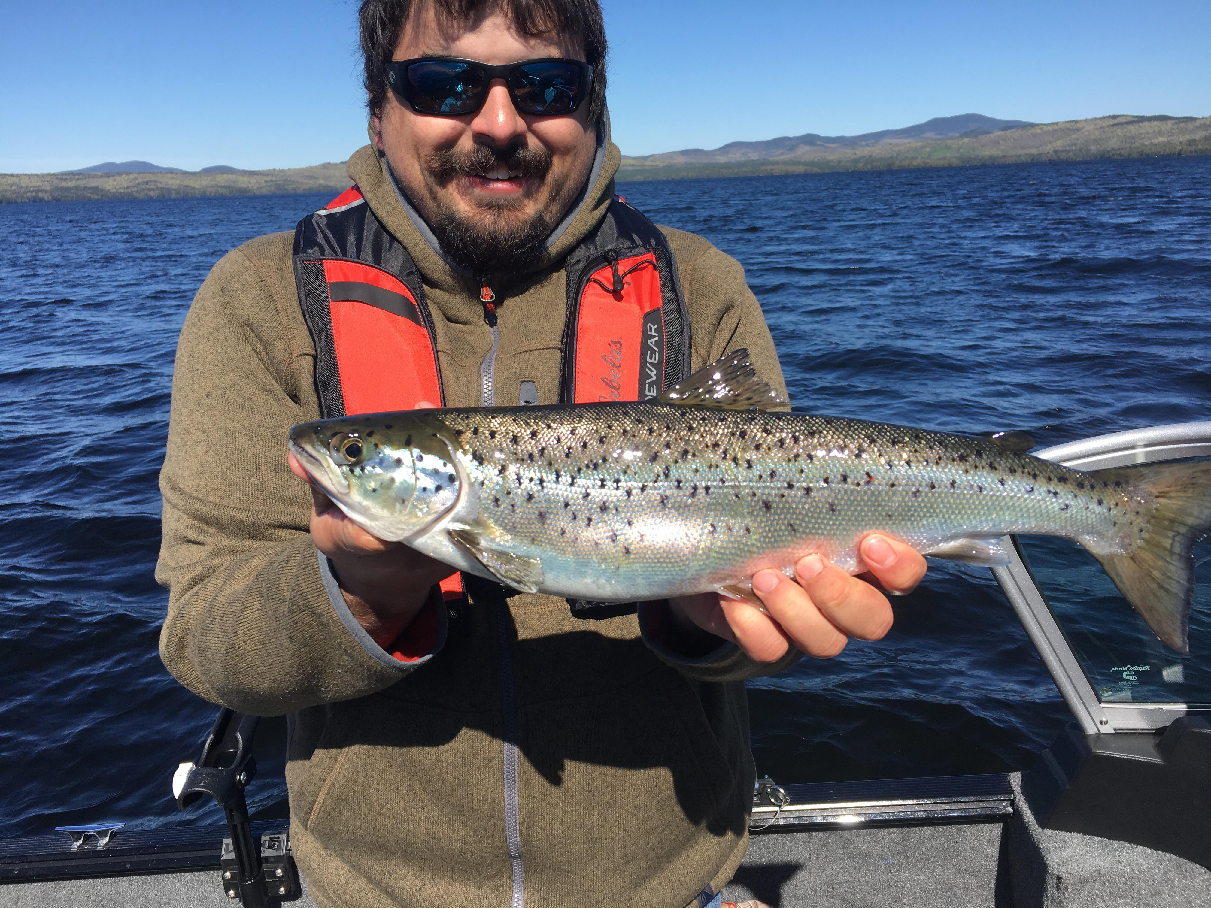 3lb Maine Salmon r/Fishing