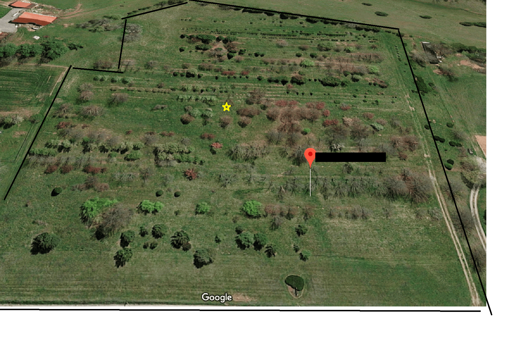 Buying 10 acres (former tree farm). So many questions... septic, water