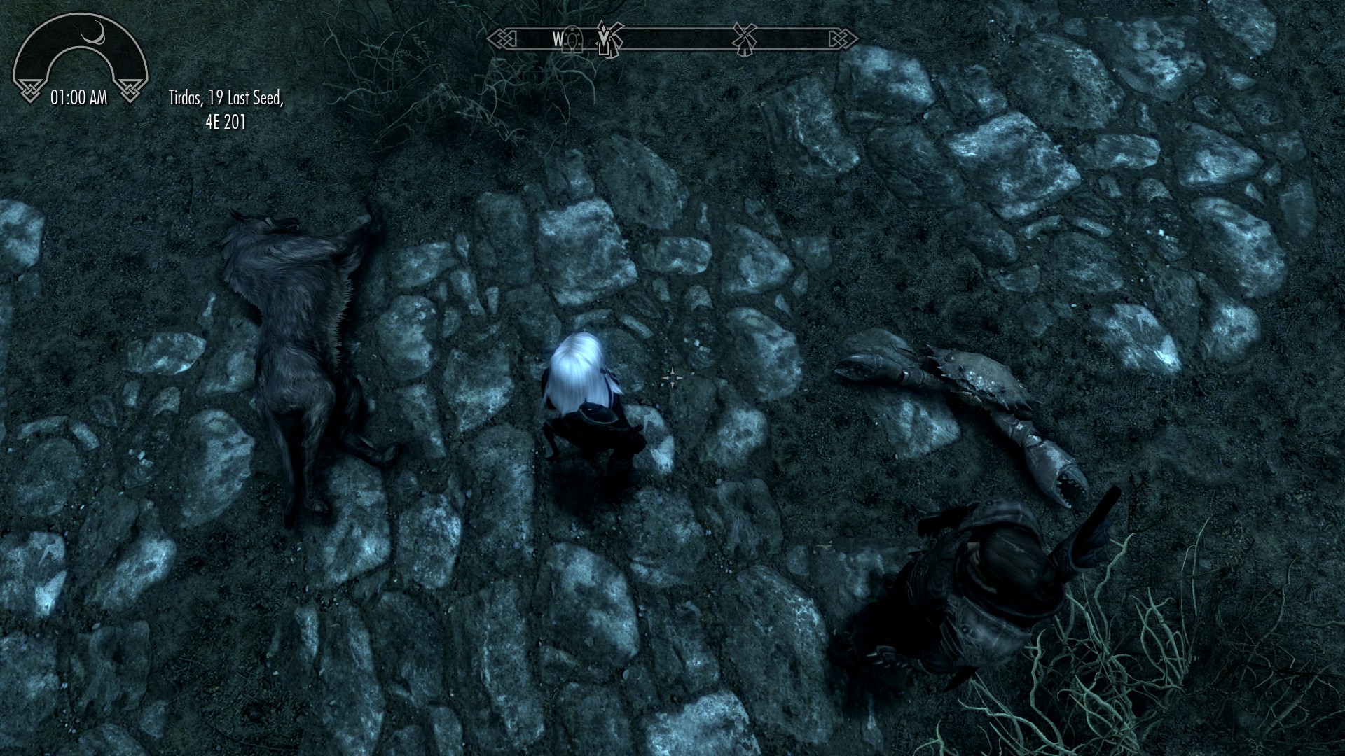 Was heading to Whiterun and came across this. I, want to know what in