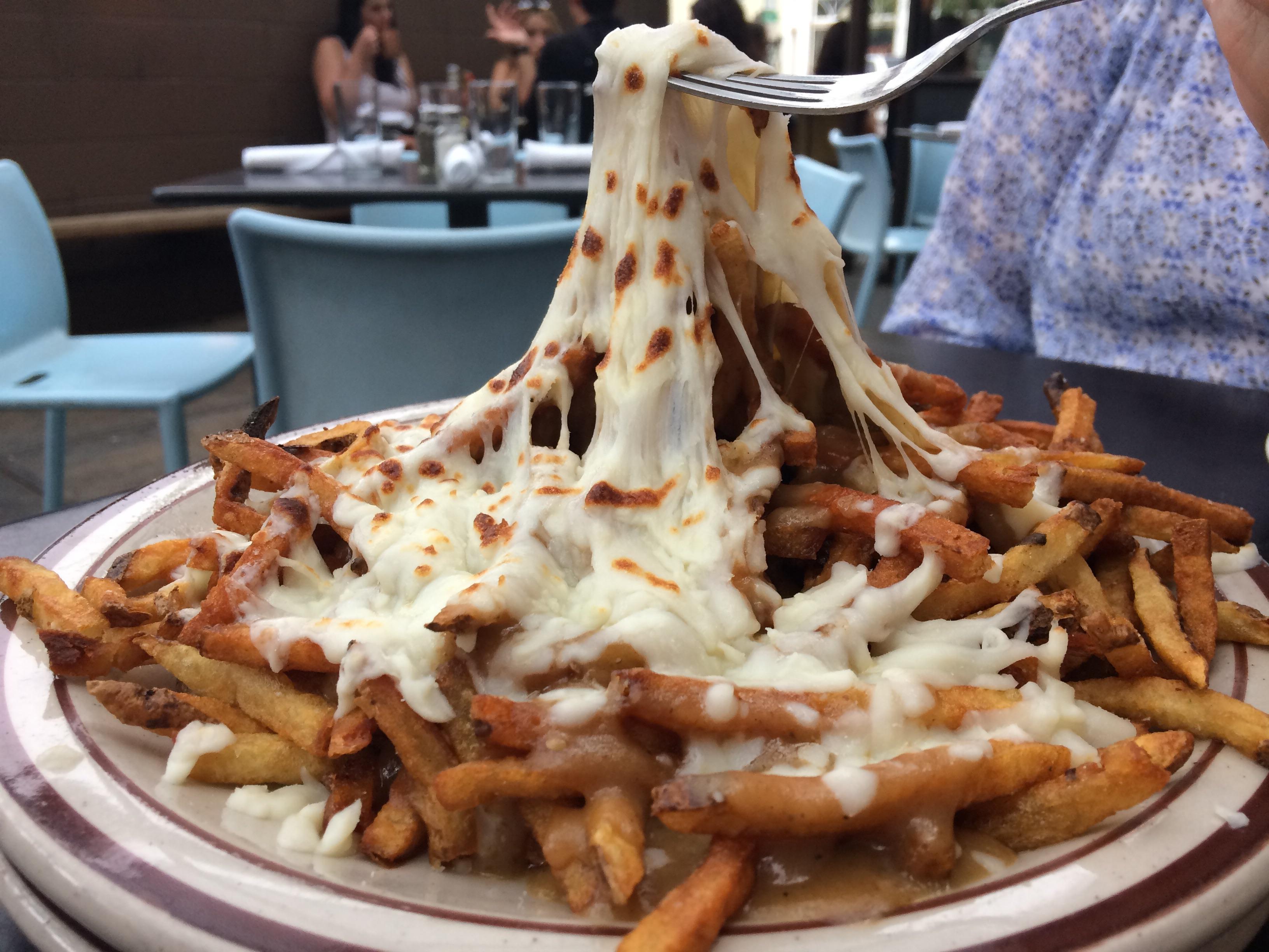 Gravy cheese fries, Steuben's in Denver r/FoodPorn