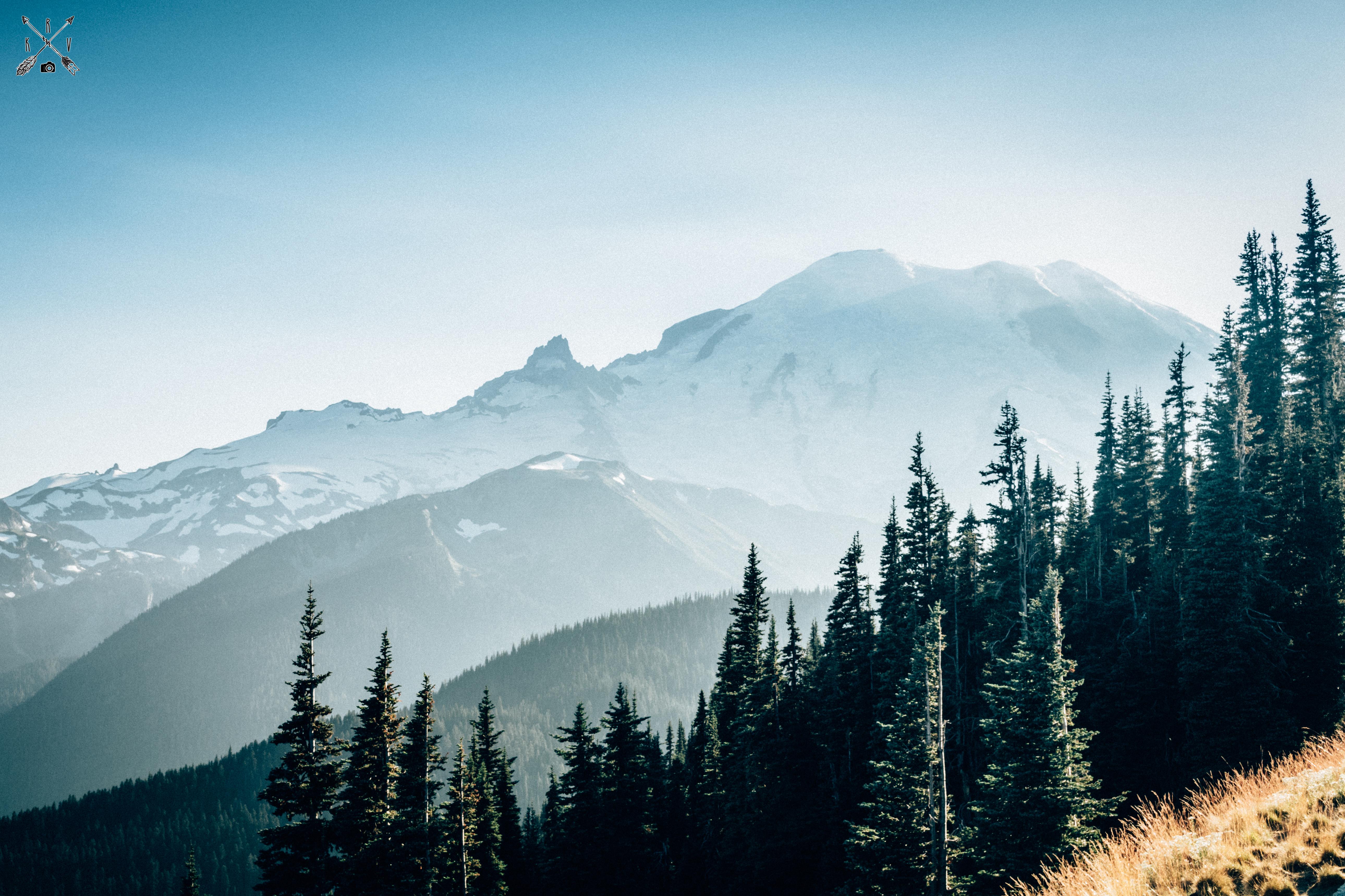Dawn view of Mt. Rainier from "Sunrise" Washington State, USA [OC