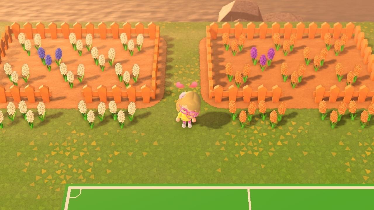 Trouble breeding hybrids any tips? Having trouble with purple and blue