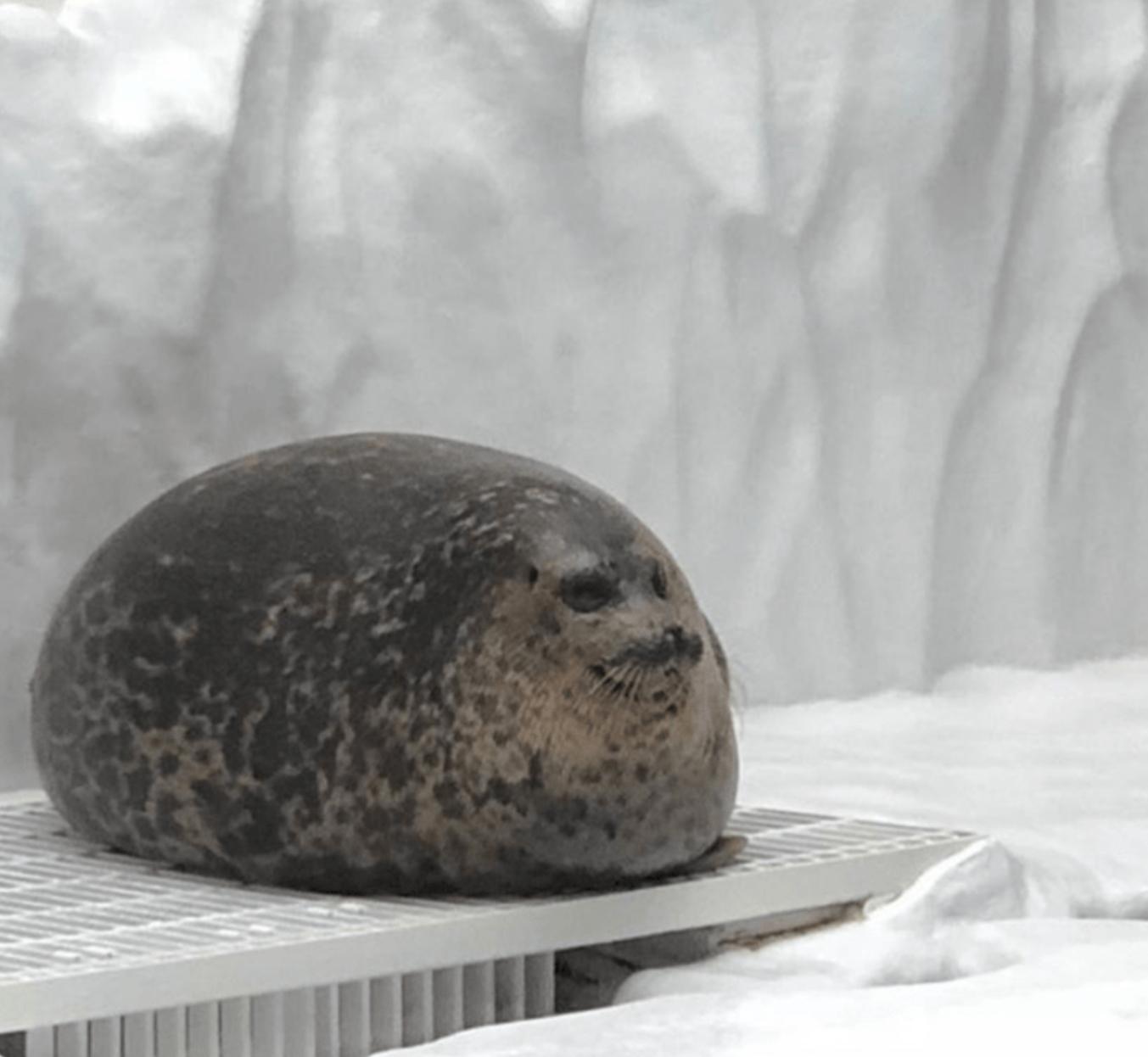 C H Ö N K absoluteunit
