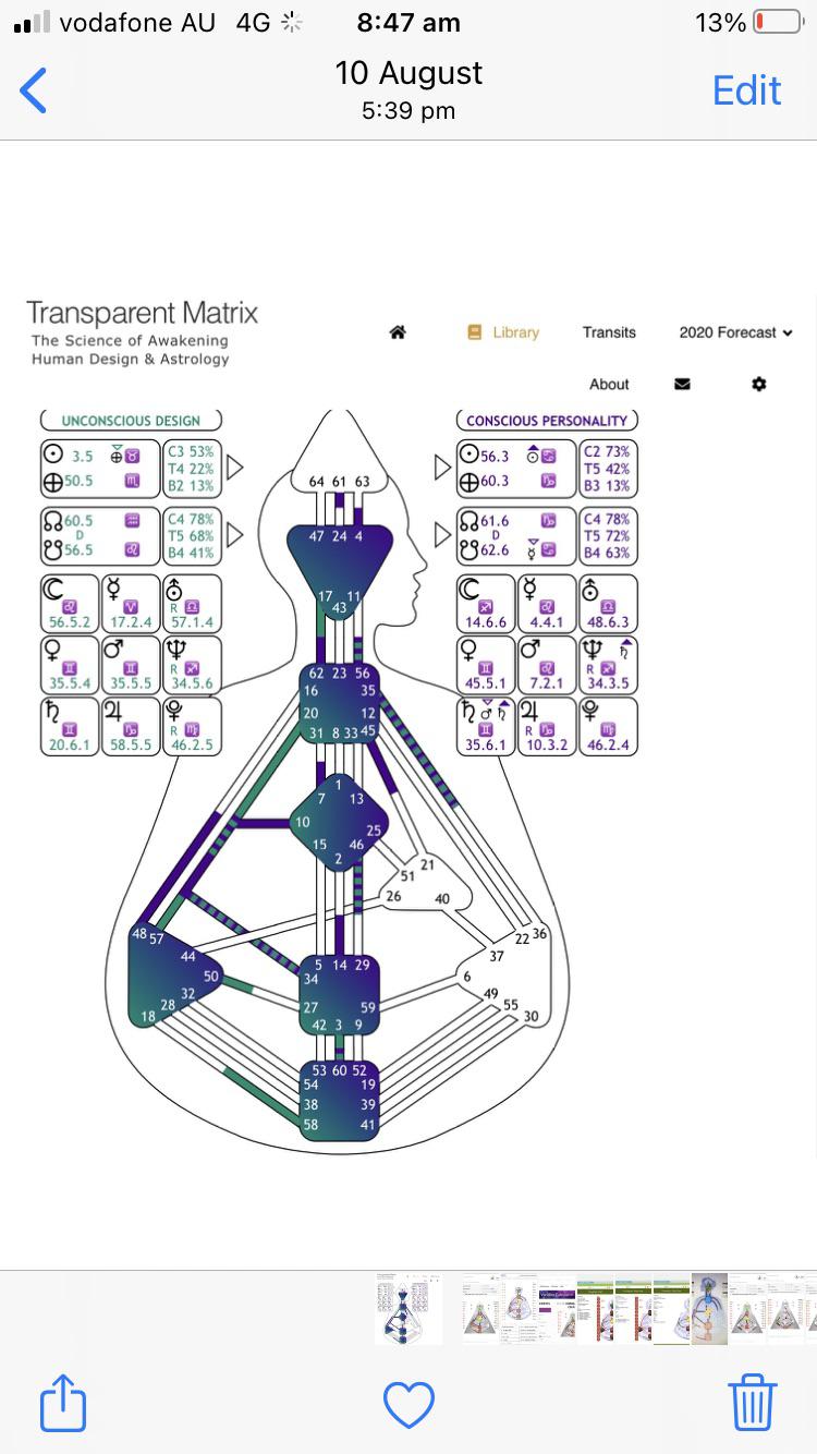 Quad Right Projector Human Design Design Talk