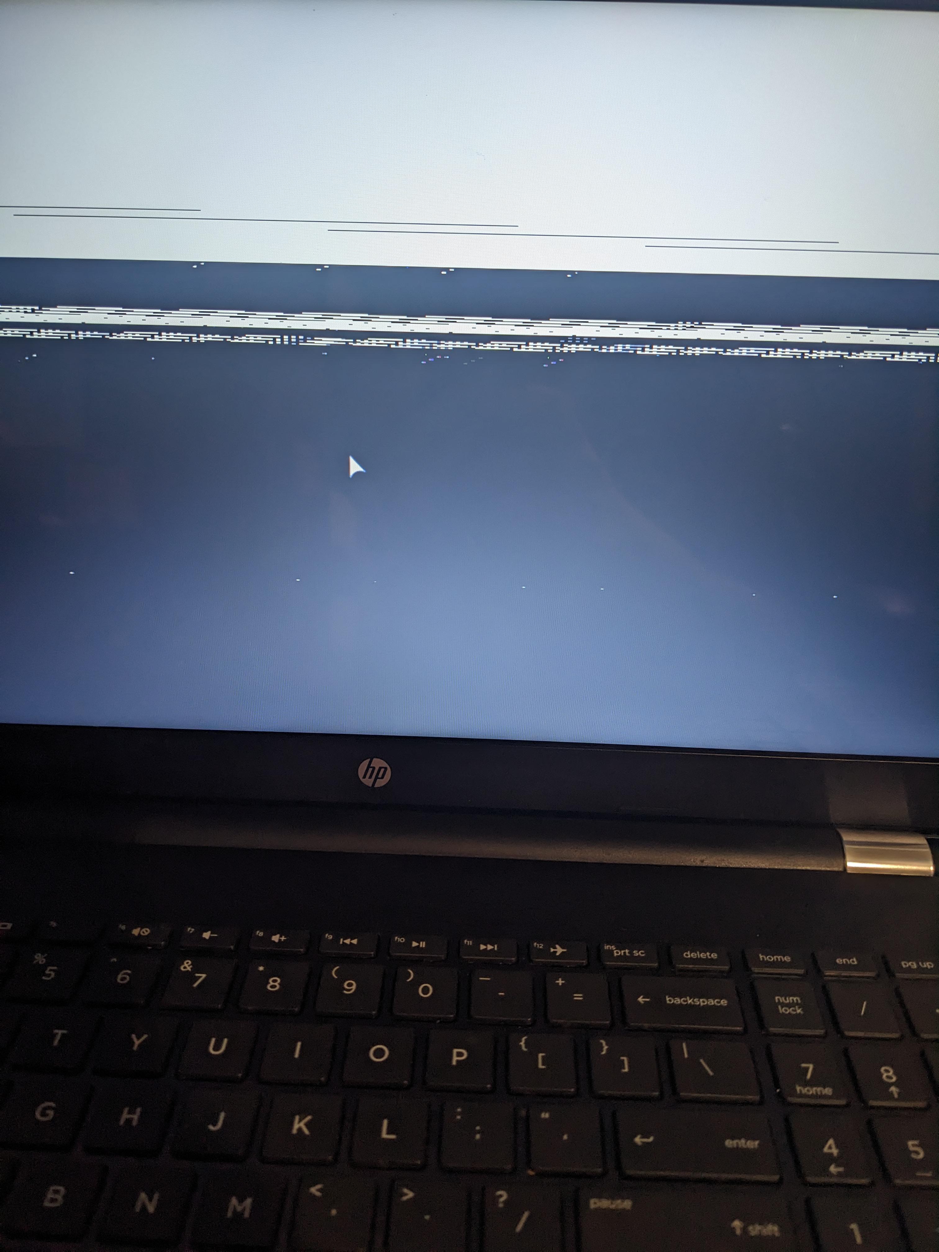 Black and White screen help? (HP LAPTOP) r/holoiso