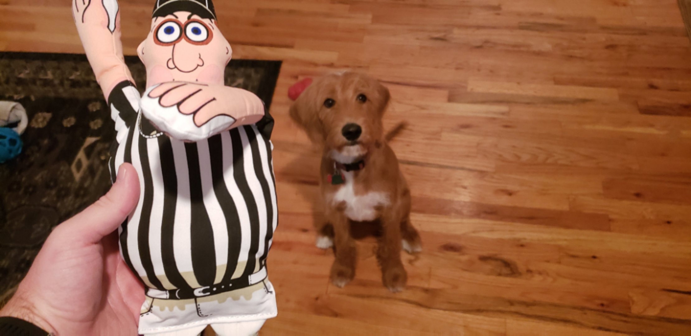 Throwback picture of my pup, this toy has been destroyed r/Saints