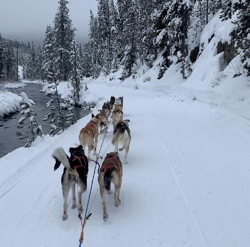 Hey Reddit, this is my first post. I thought this was too epic not to