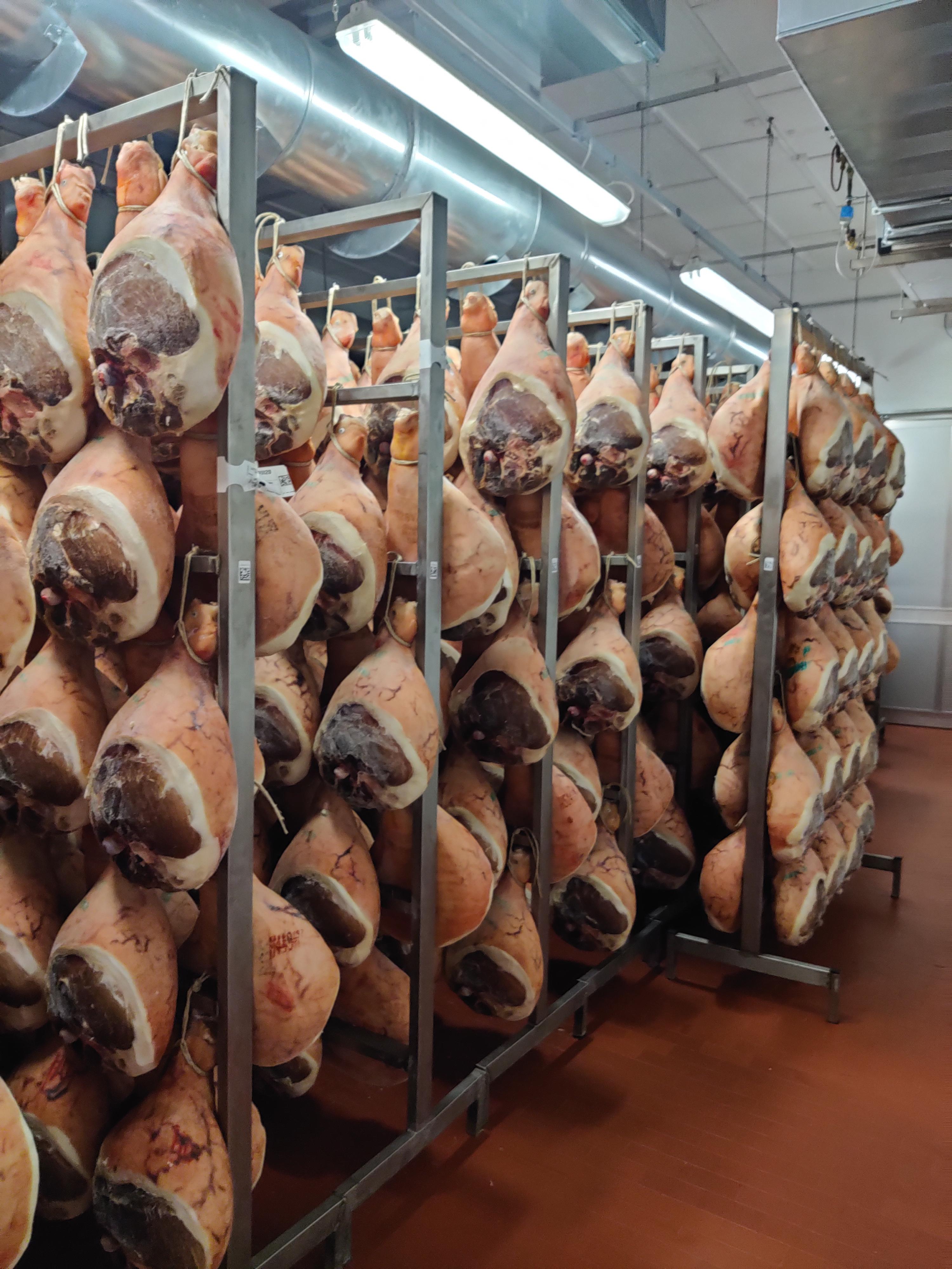 Prosciutto Di Parma in the artisinal little factory of Vittorio