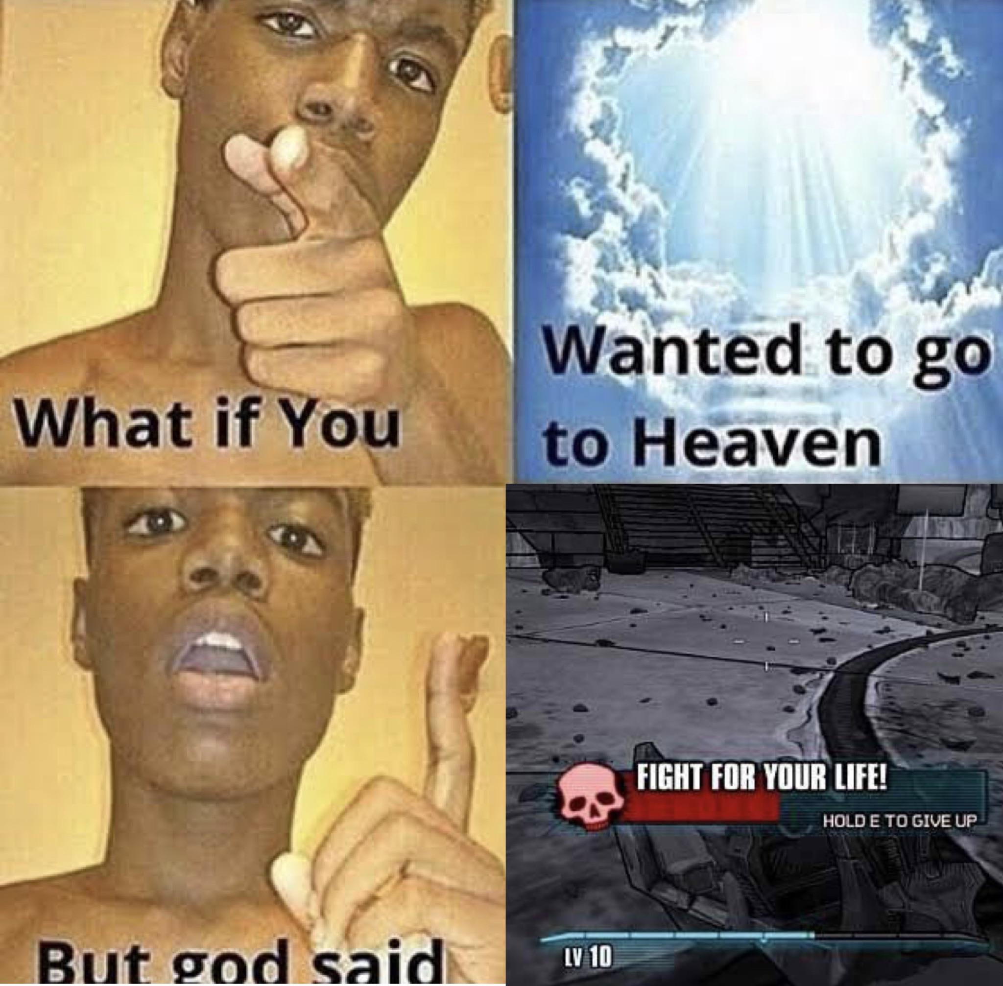 Can you please make me a favor and just DIE!! Borderlands2